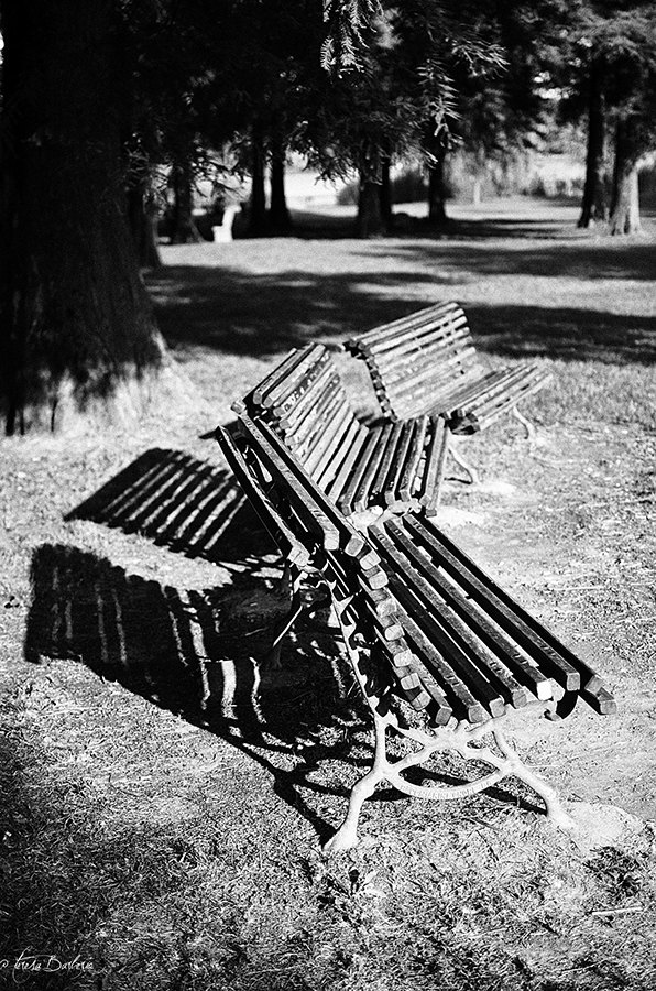 L'essenza dell'assenza