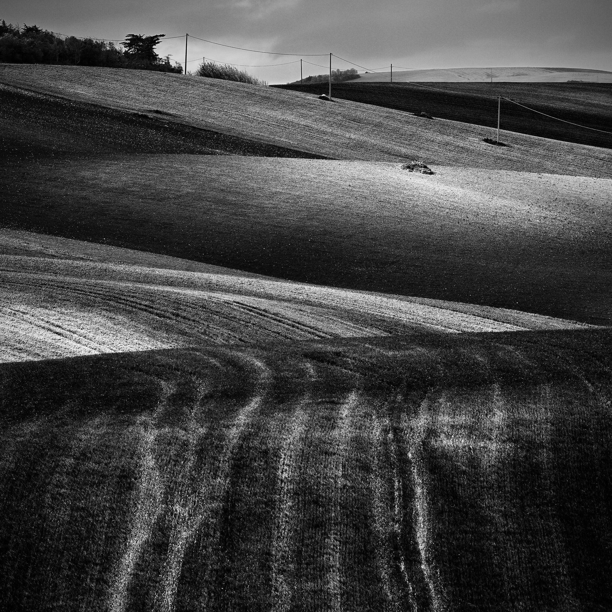 horizontal, vertical, oblique shades