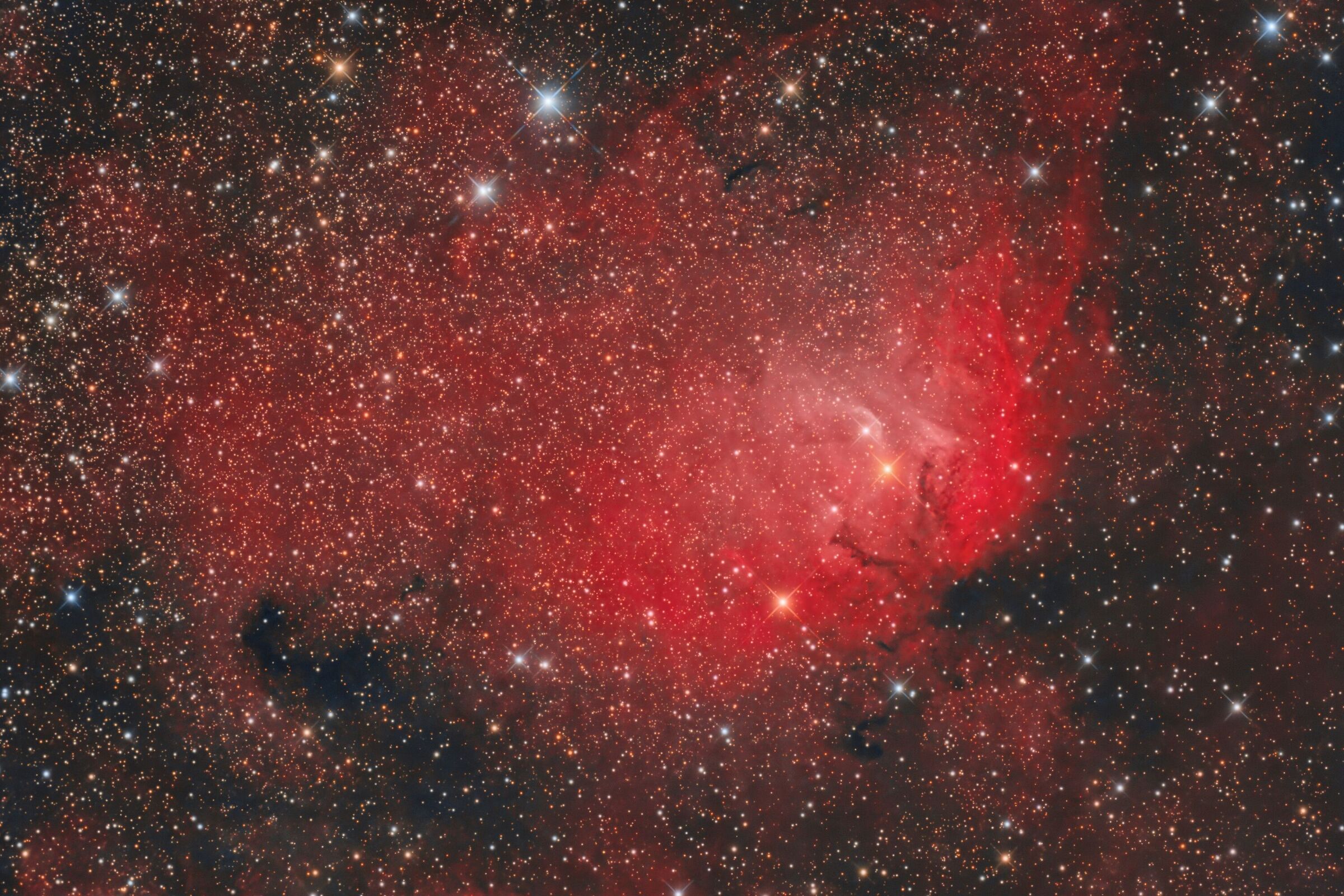 Nebulosa Tulipano hoorgb