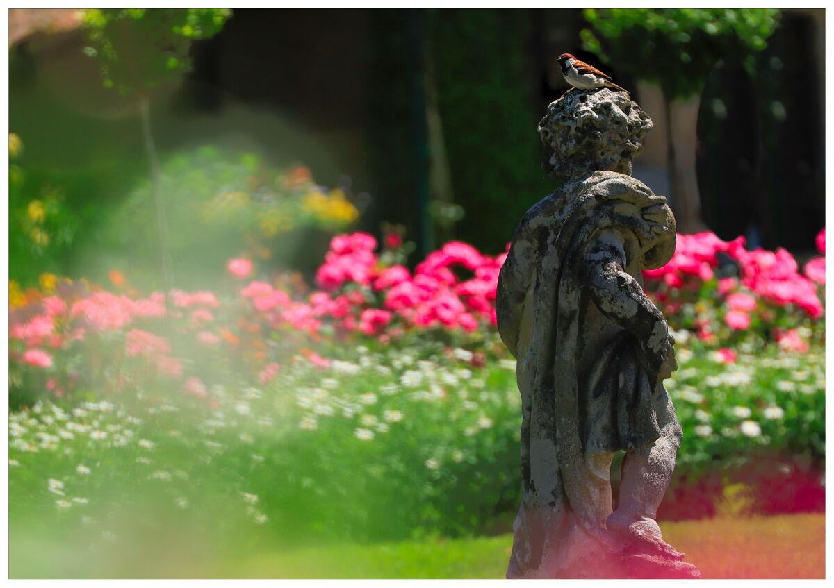 Villa Pallavicino Park - Stresa