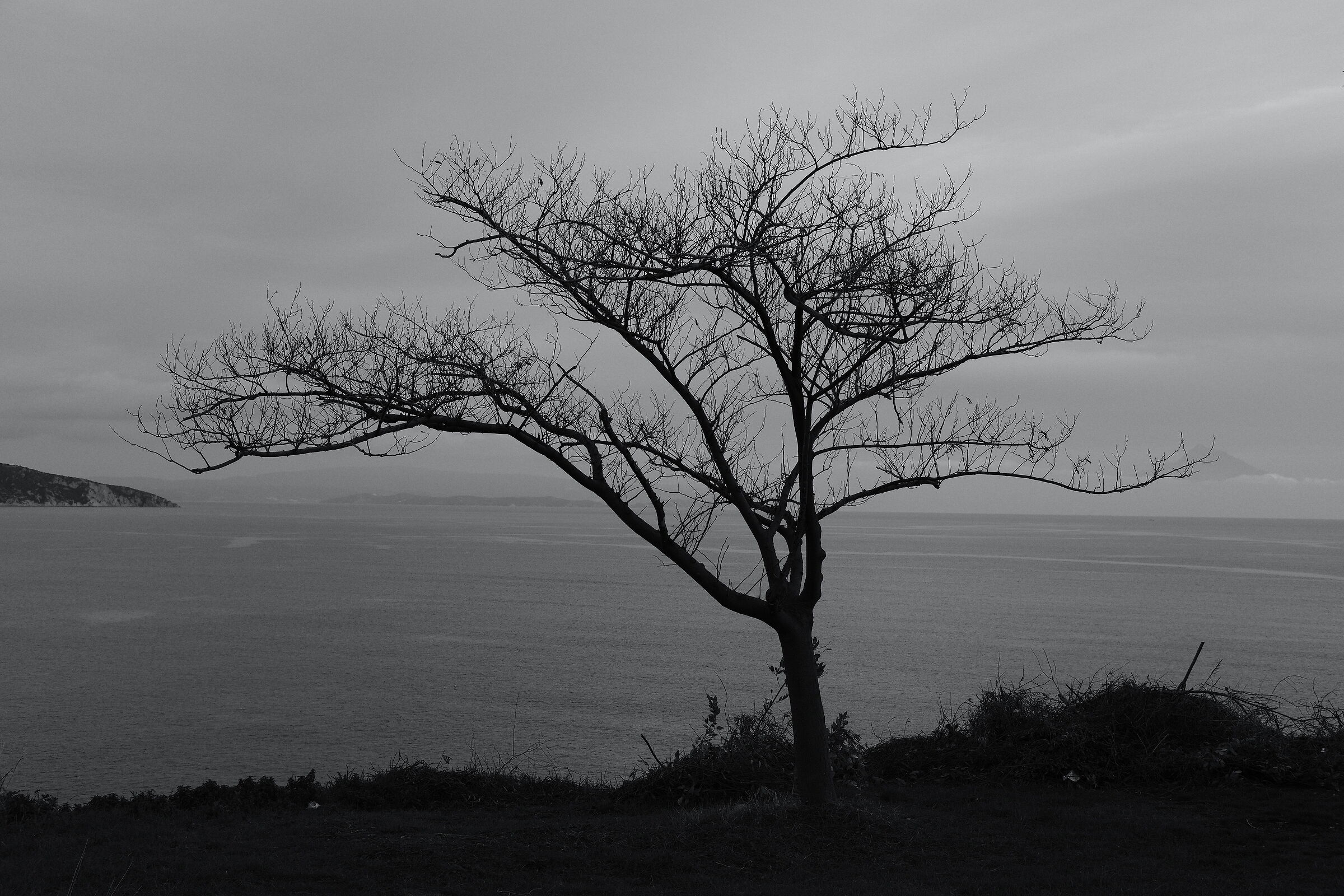 In silenzio con il mare