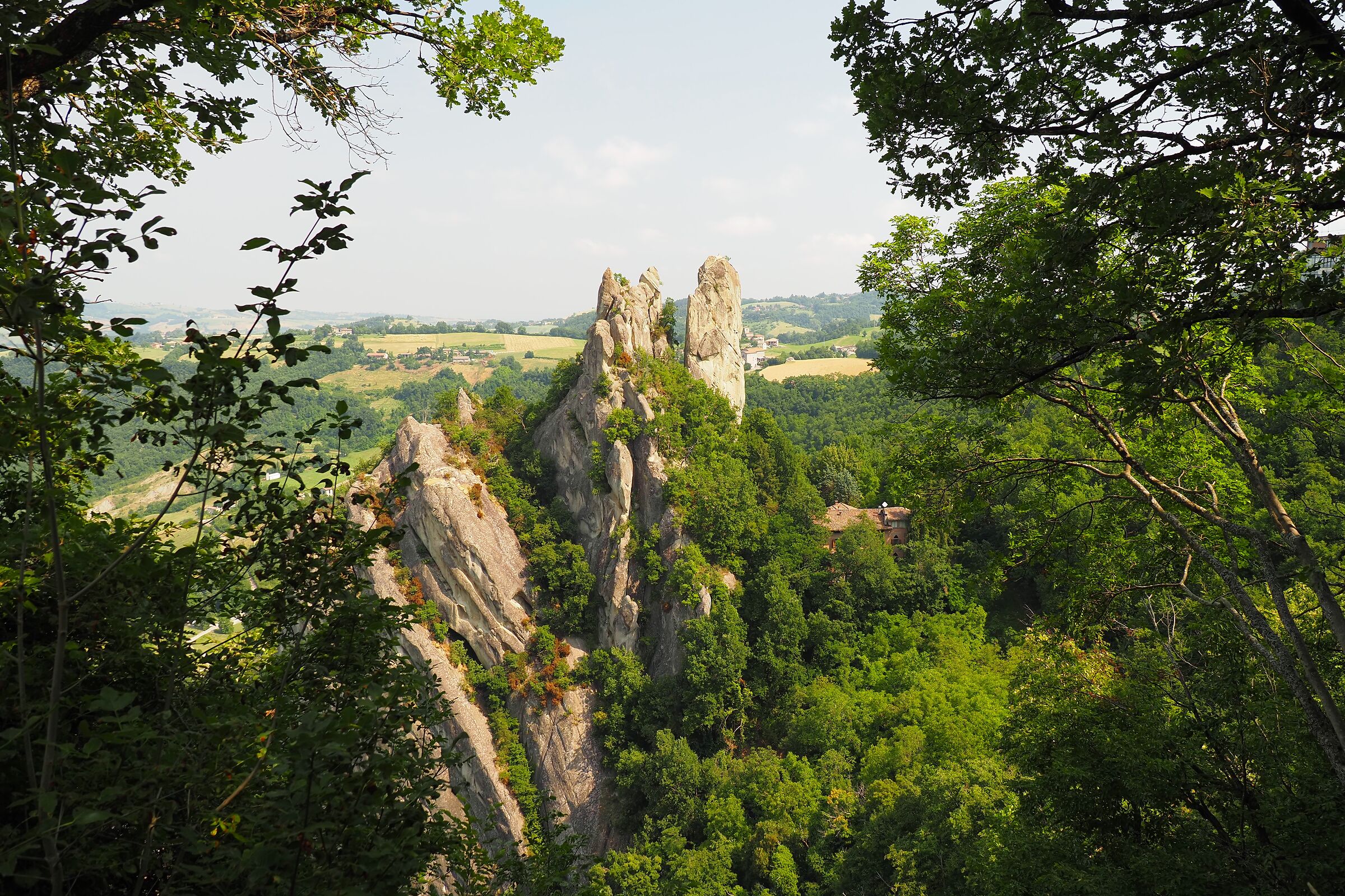Sassi di Roccamalatina Regional Park (MO)