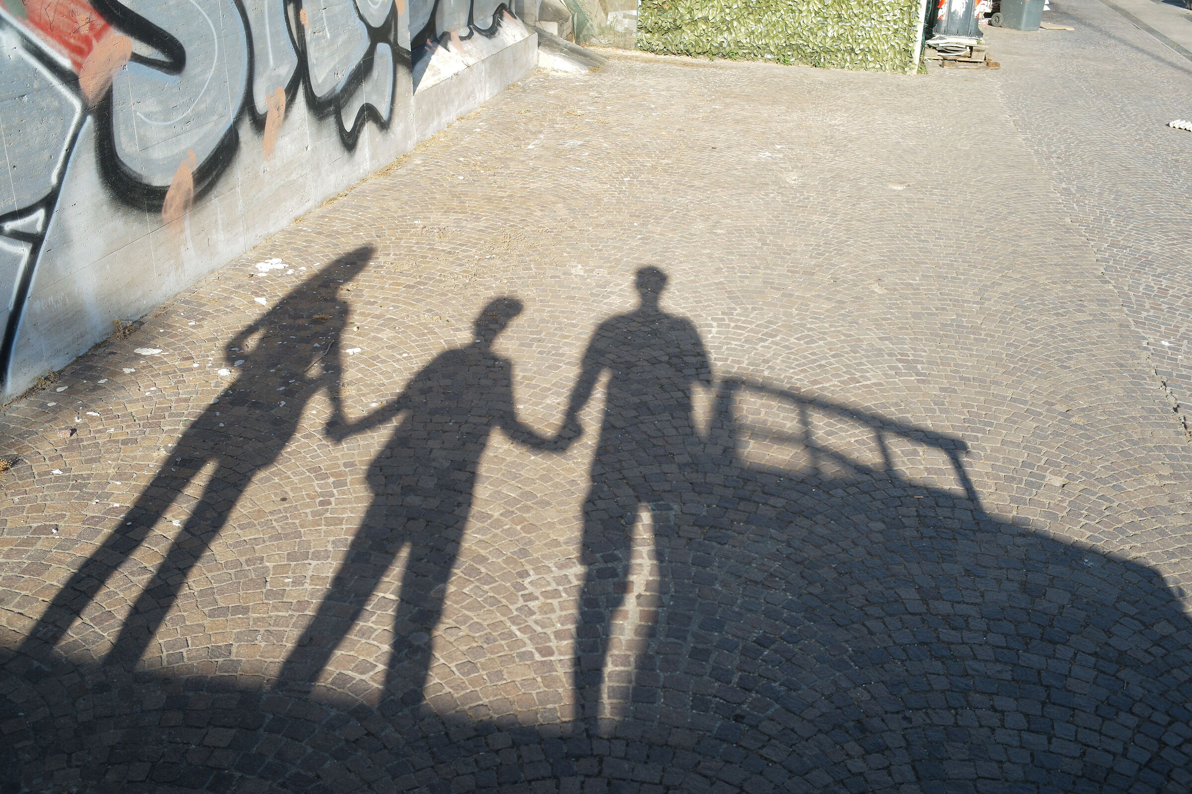 THE FAMILY