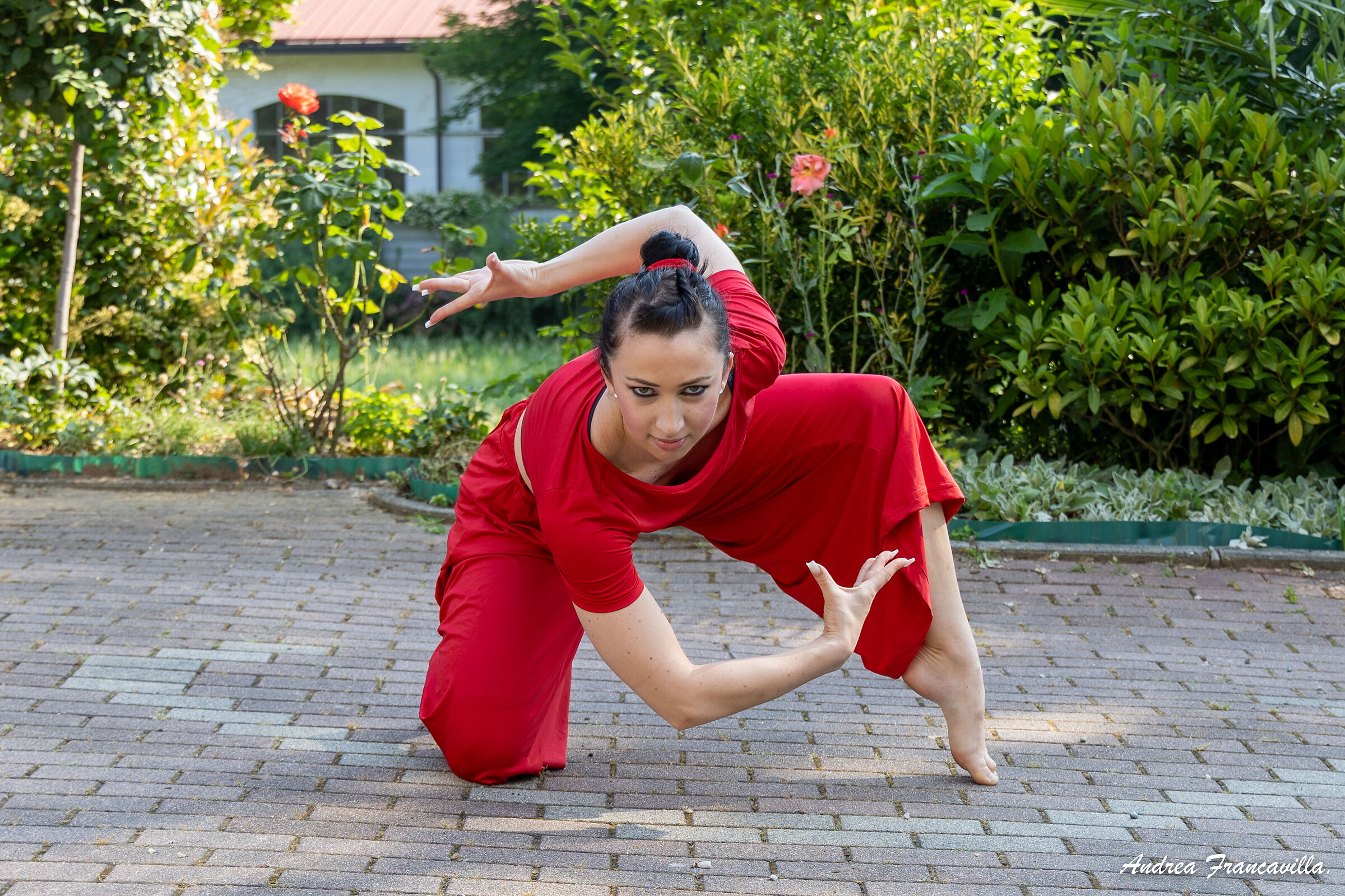 Dance is the beat that puts hearts in harmony