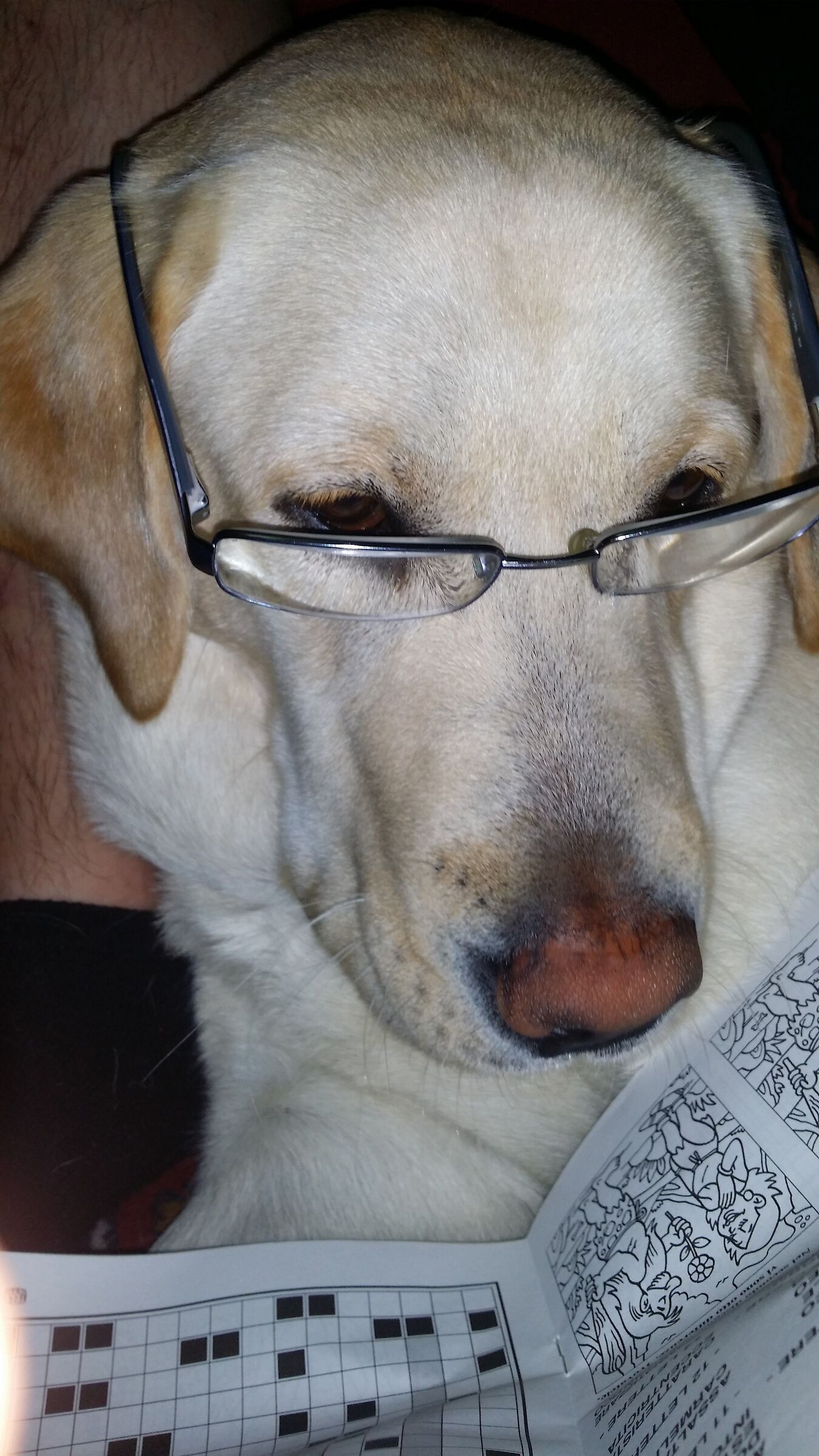 Fiona is doing crossword puzzles