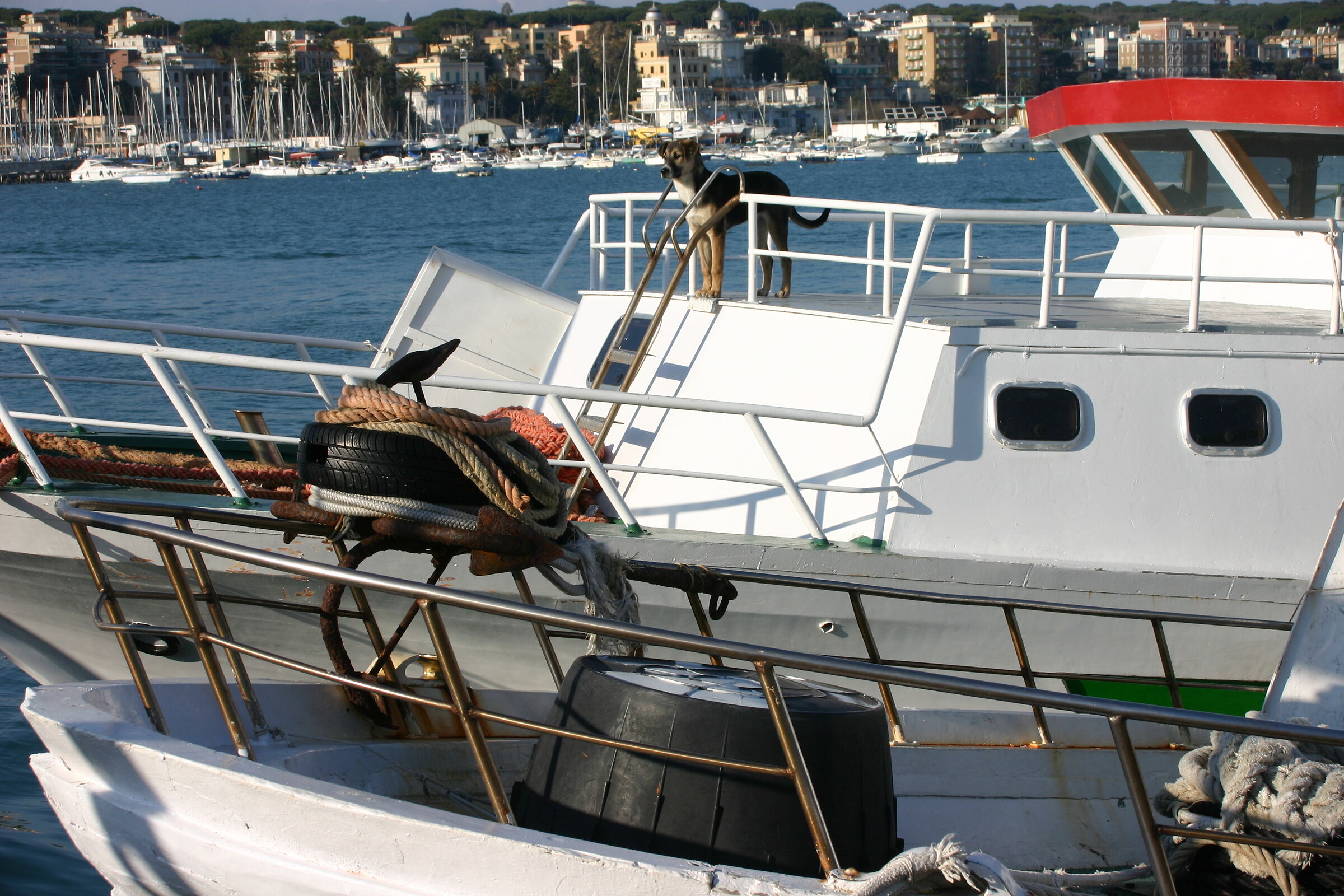 The owner of the boat