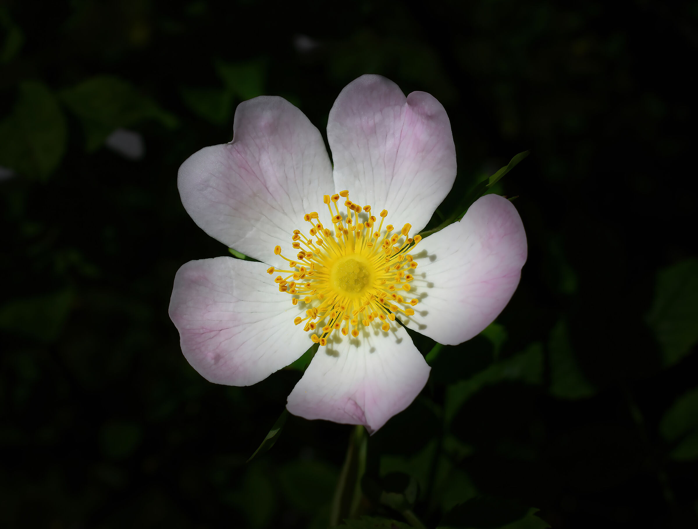 Light in the darkness...