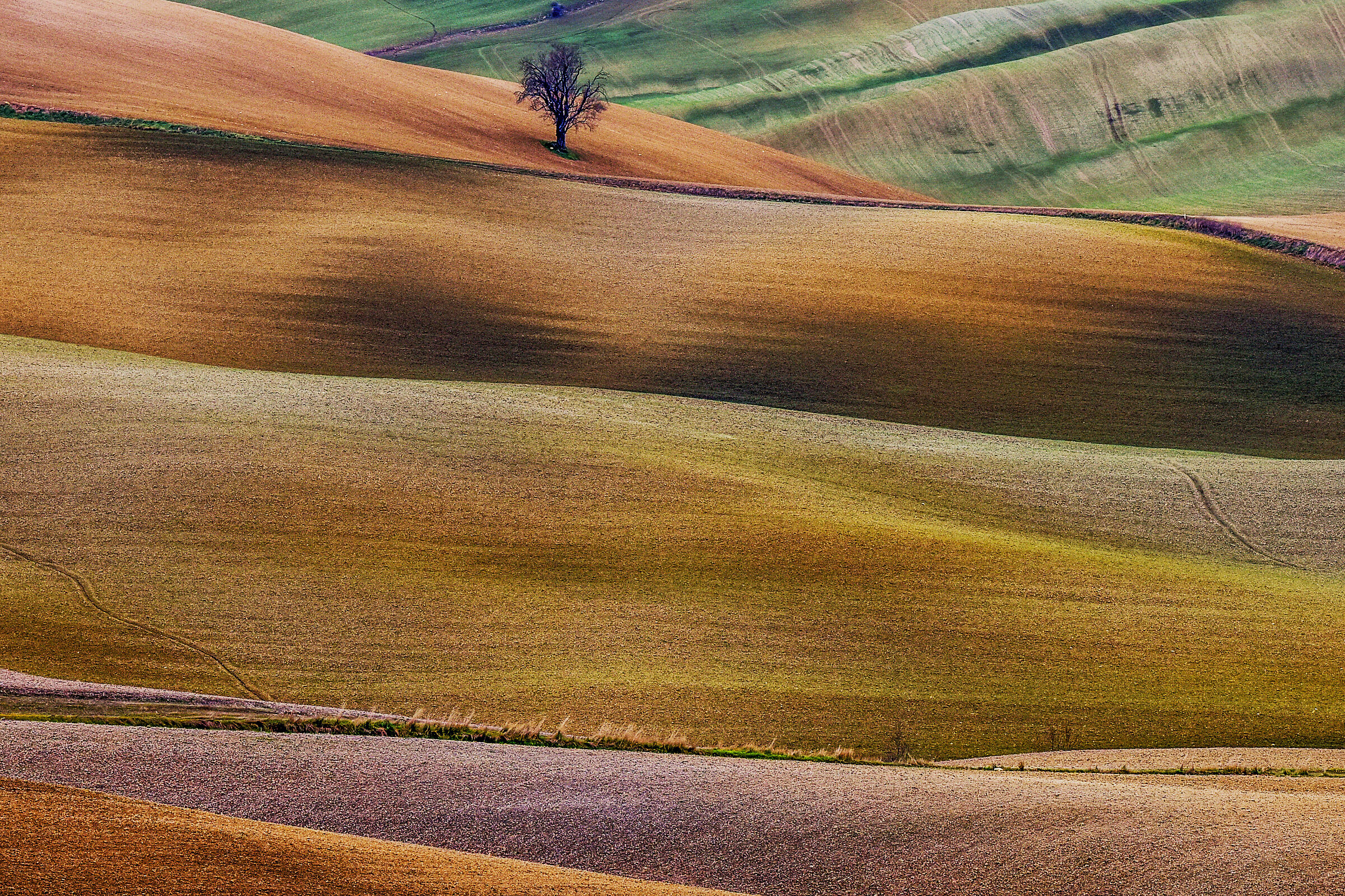 solitudine...