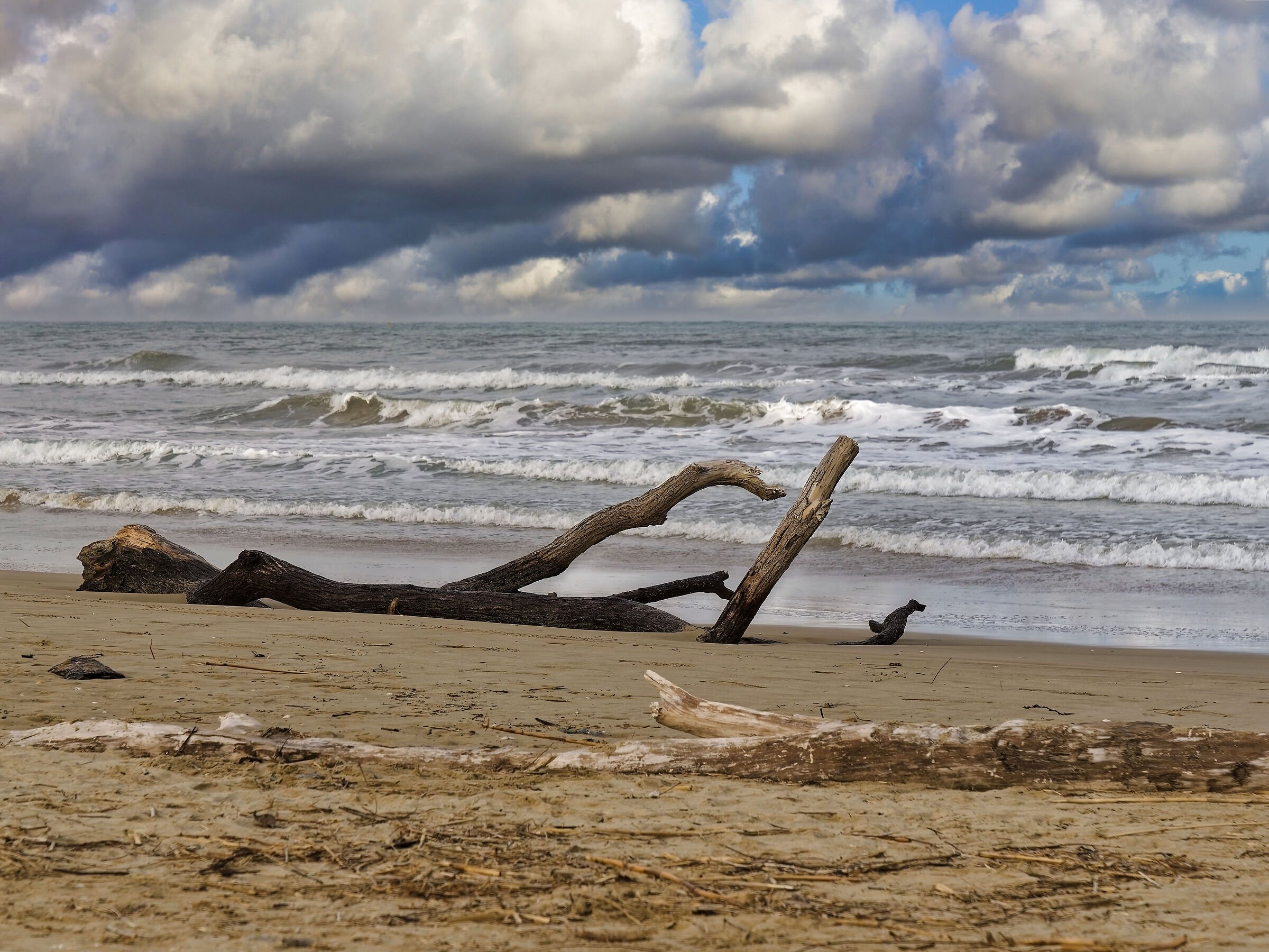 Il mare di fine marzo a Pineto
