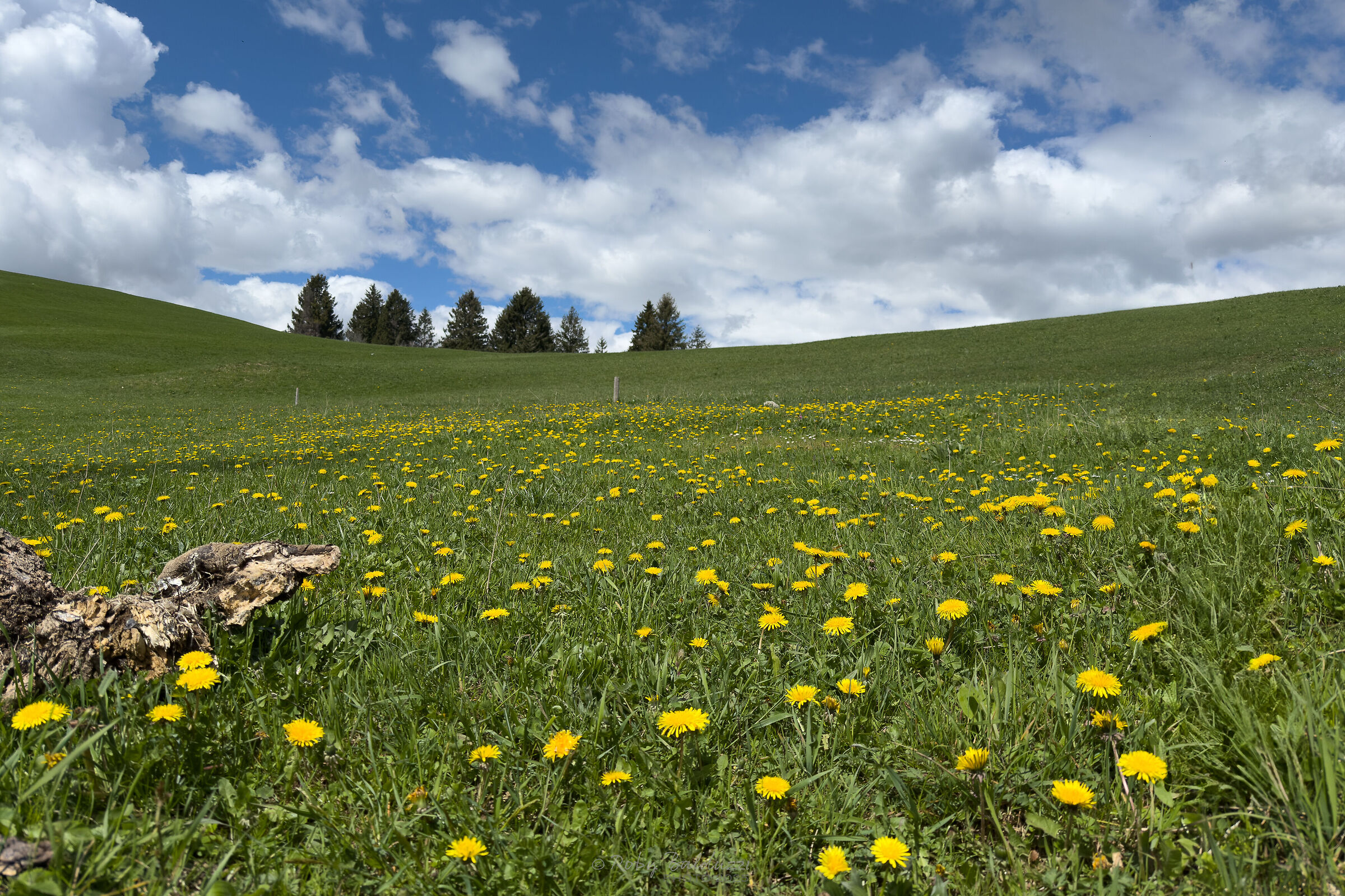 Spring on Mount Blum
