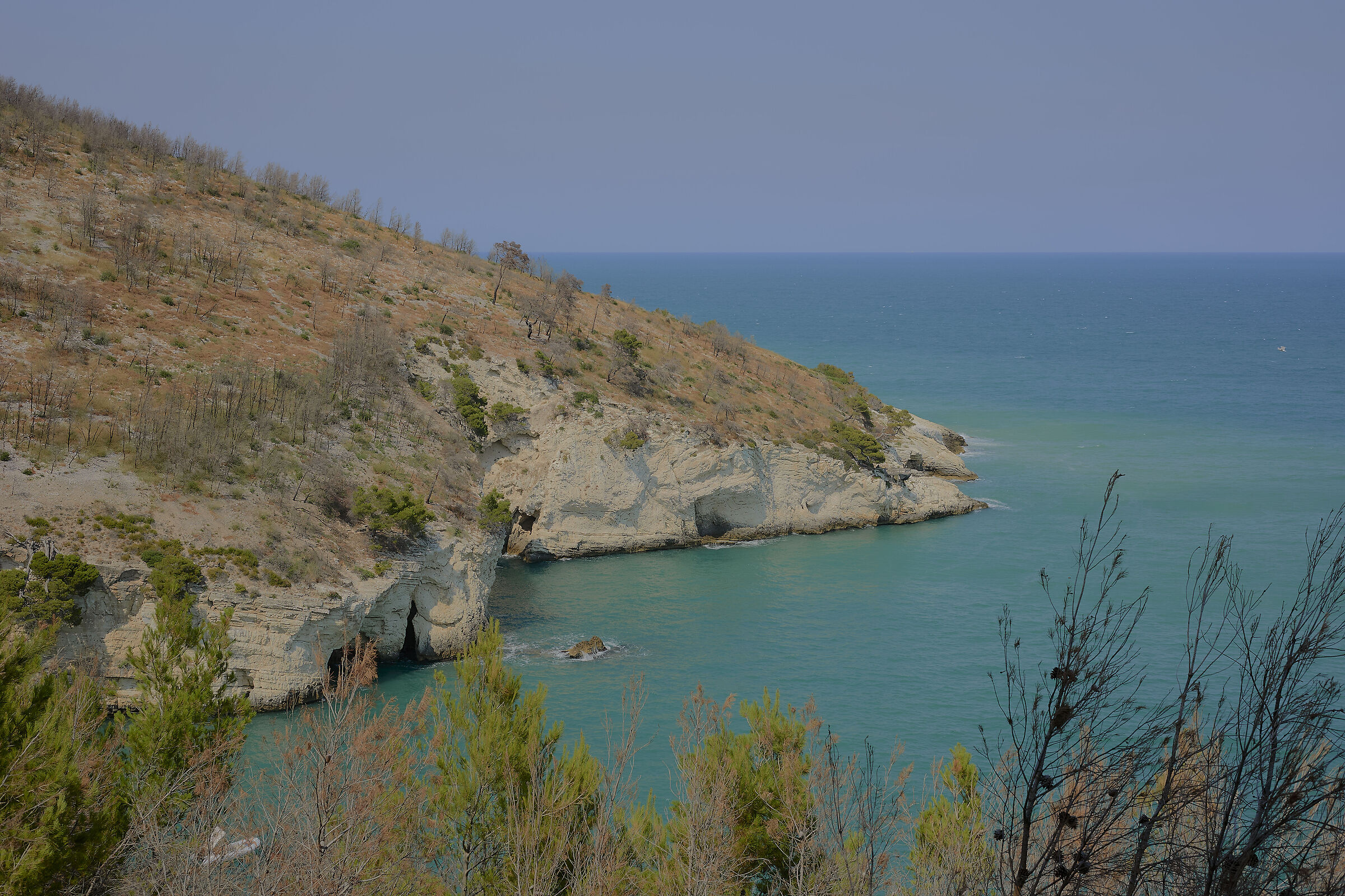 Untitled Photo
