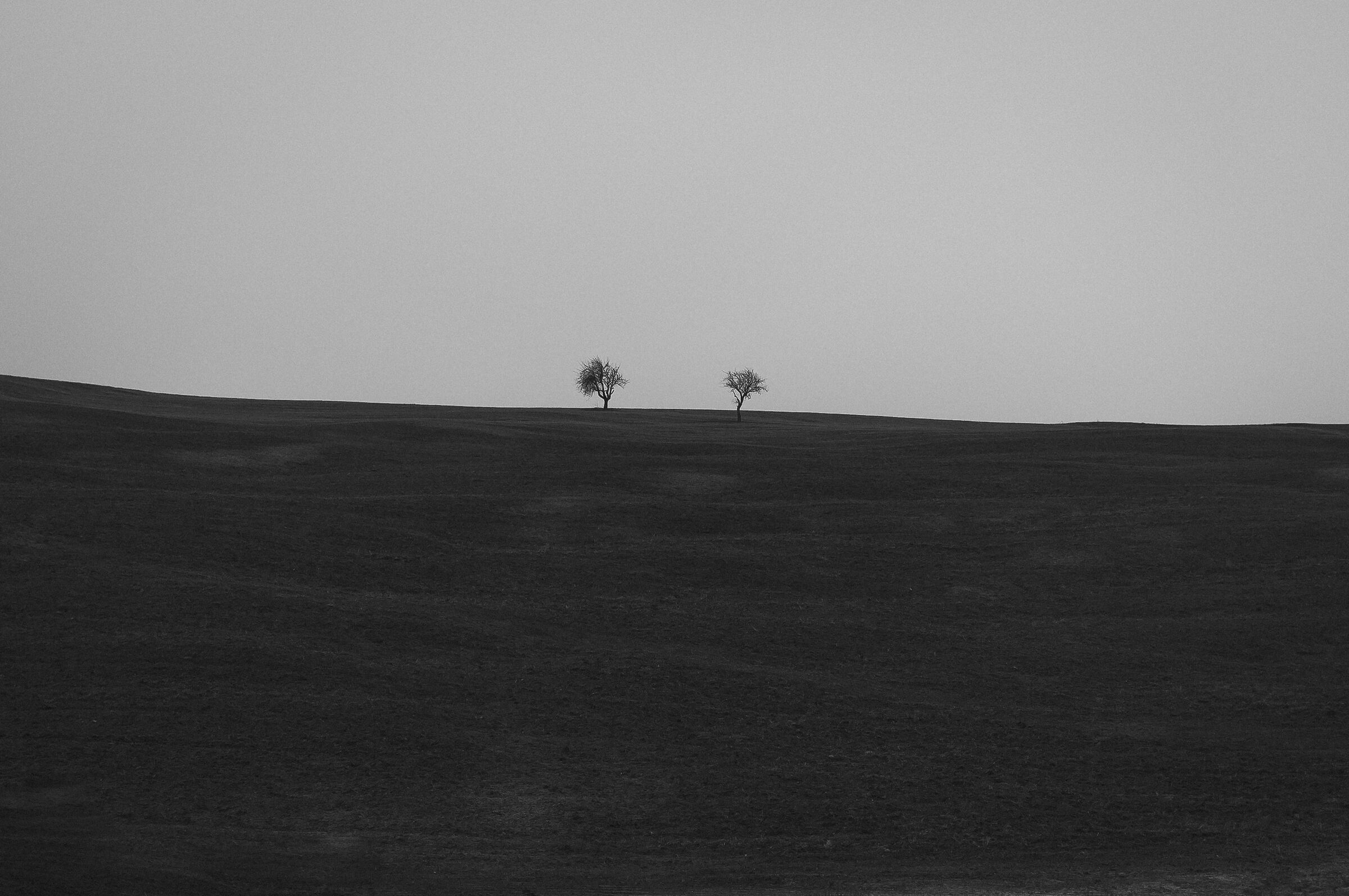 Matera agricultural landscape