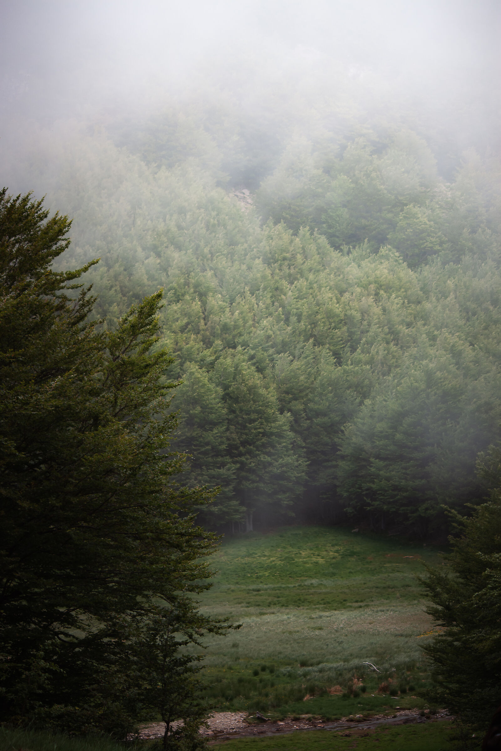 through the clouds