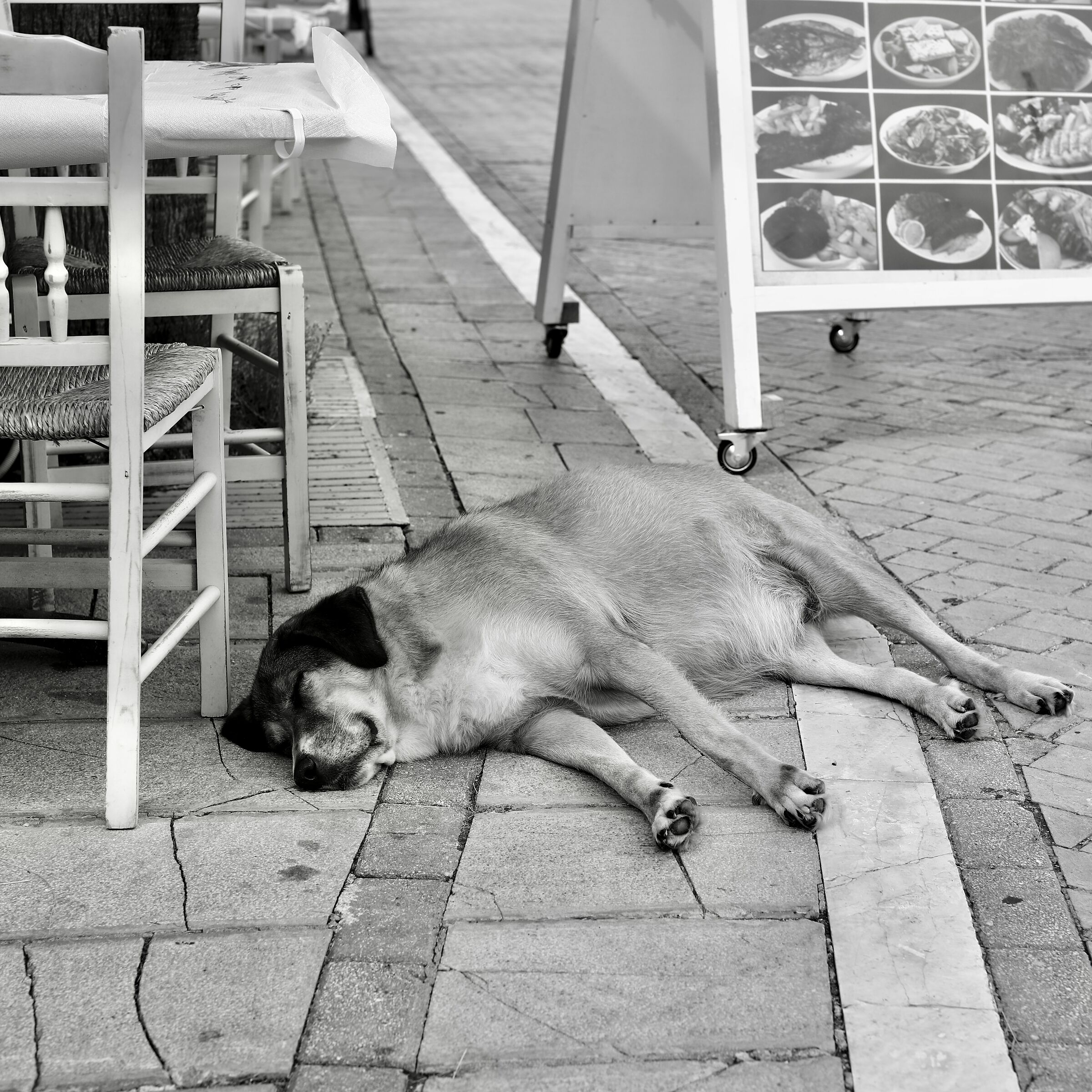 Full belly, light conscience