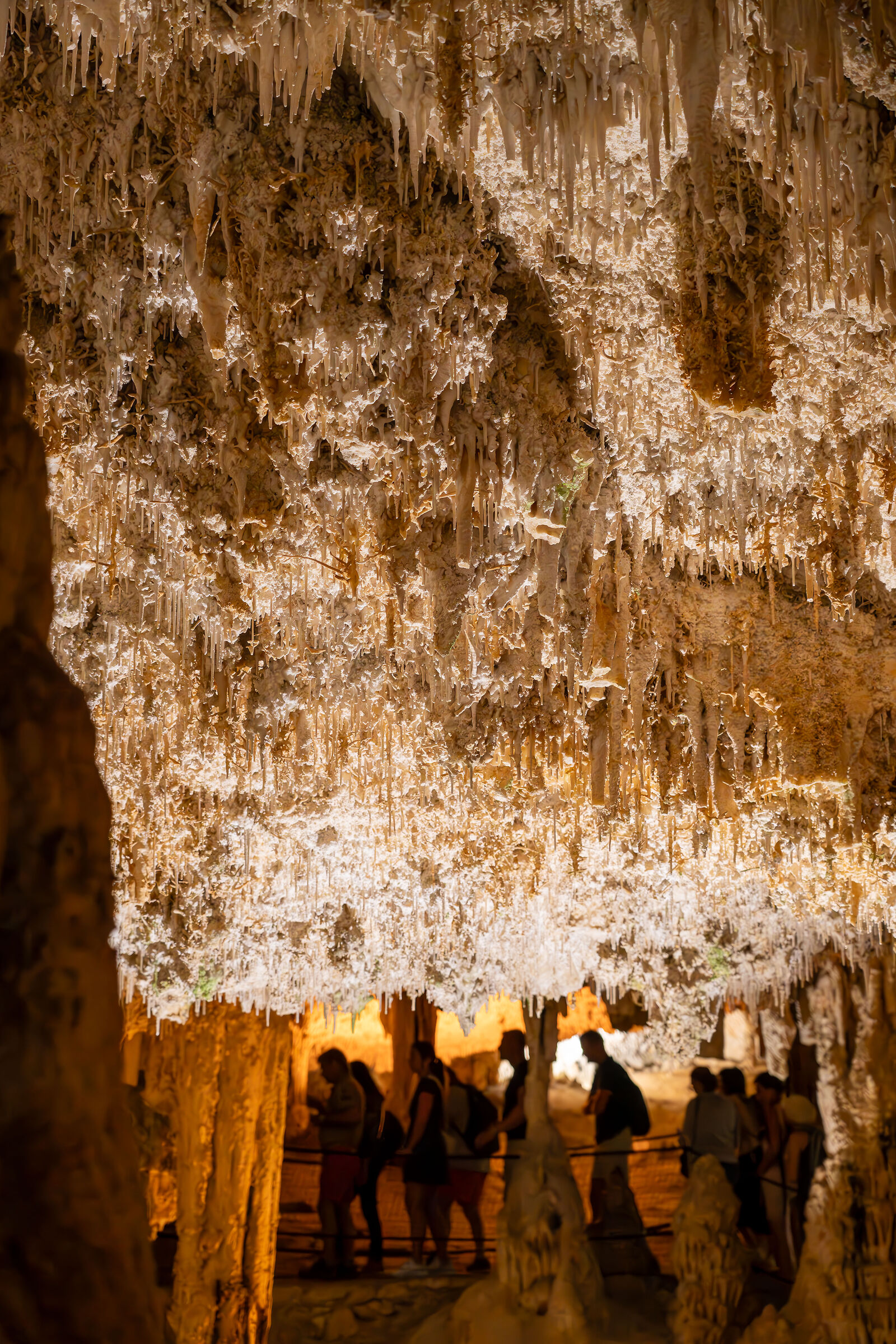 Anime in processione - Grotte di Nettuno
