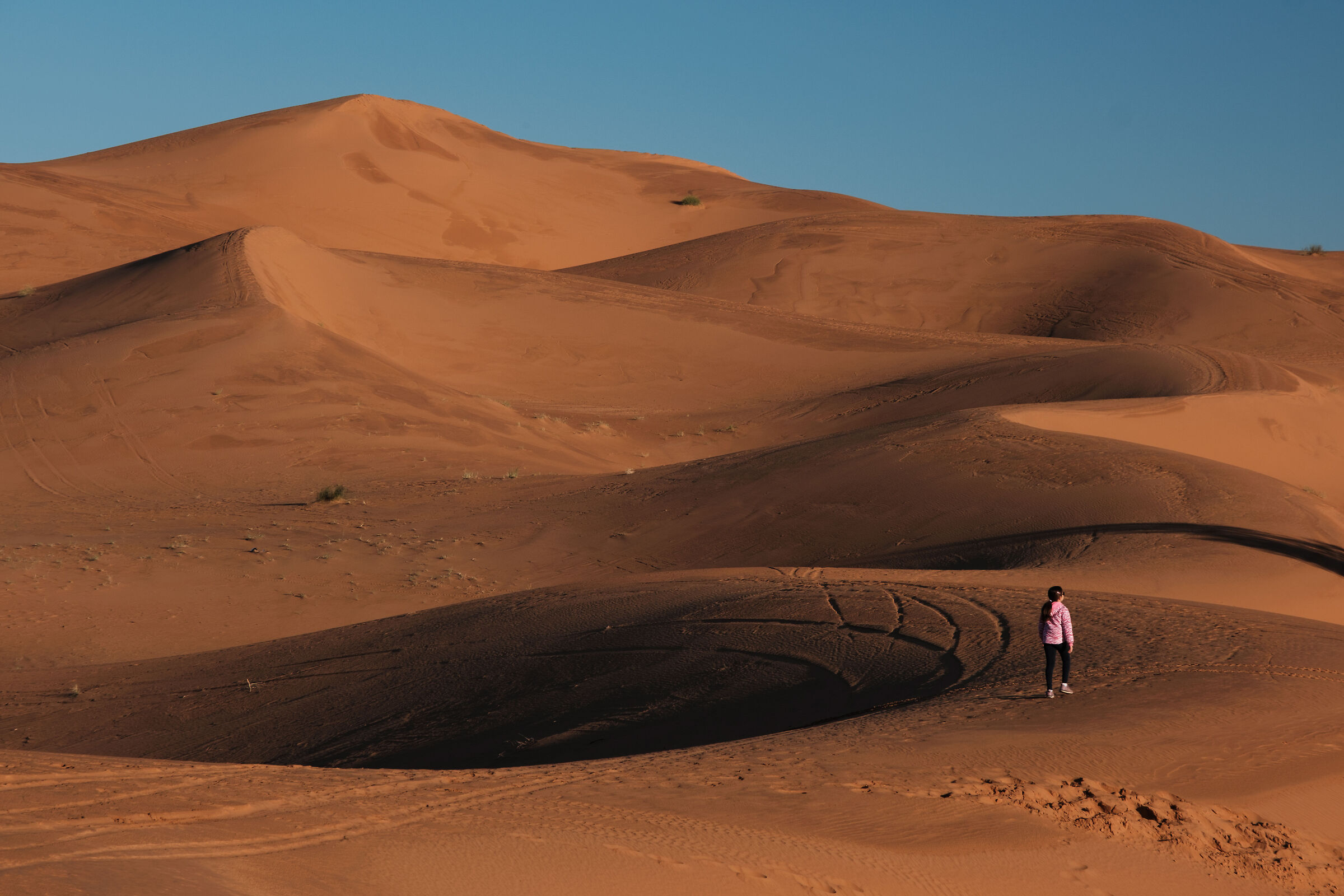 Walking through the dunes