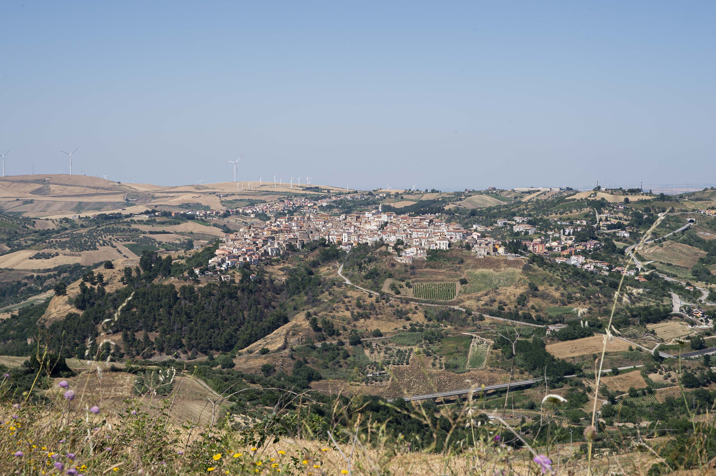 2025 ripacandida e sullo sfondo ginestra