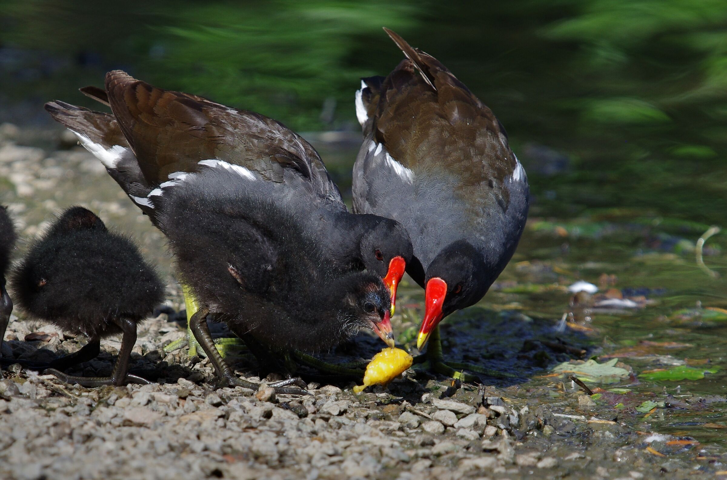 Everyone at the table.....