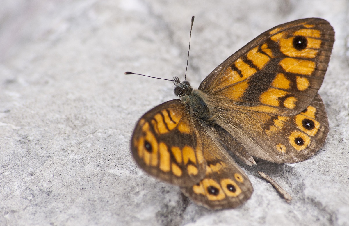 the moment of installation