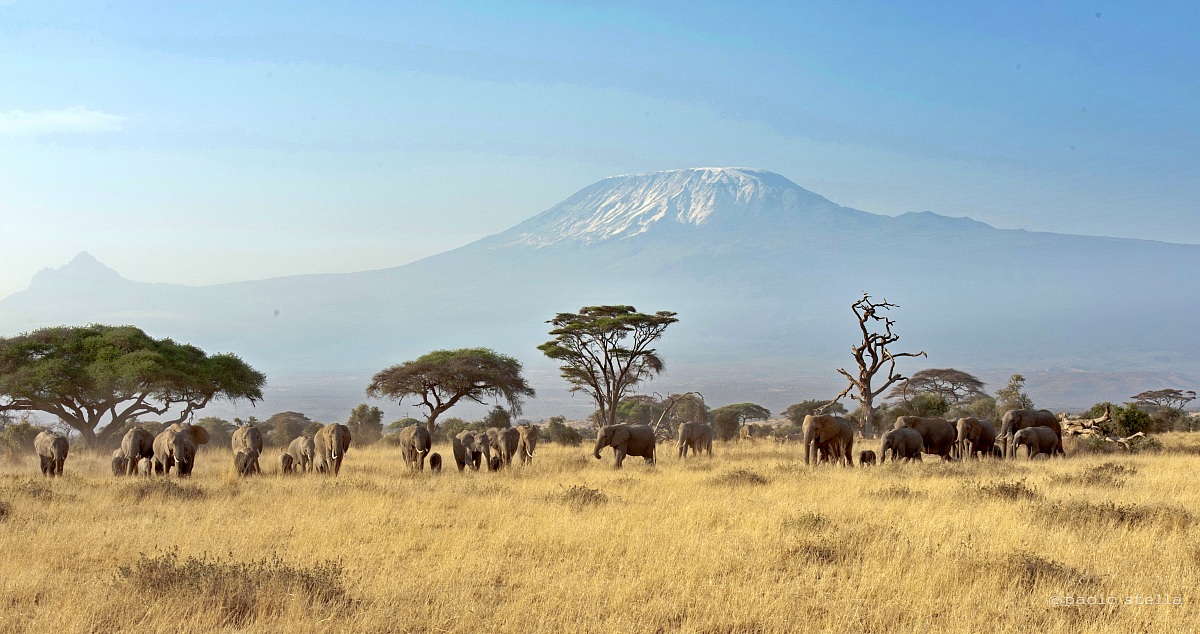 at the foot of Kilimanjaro 2