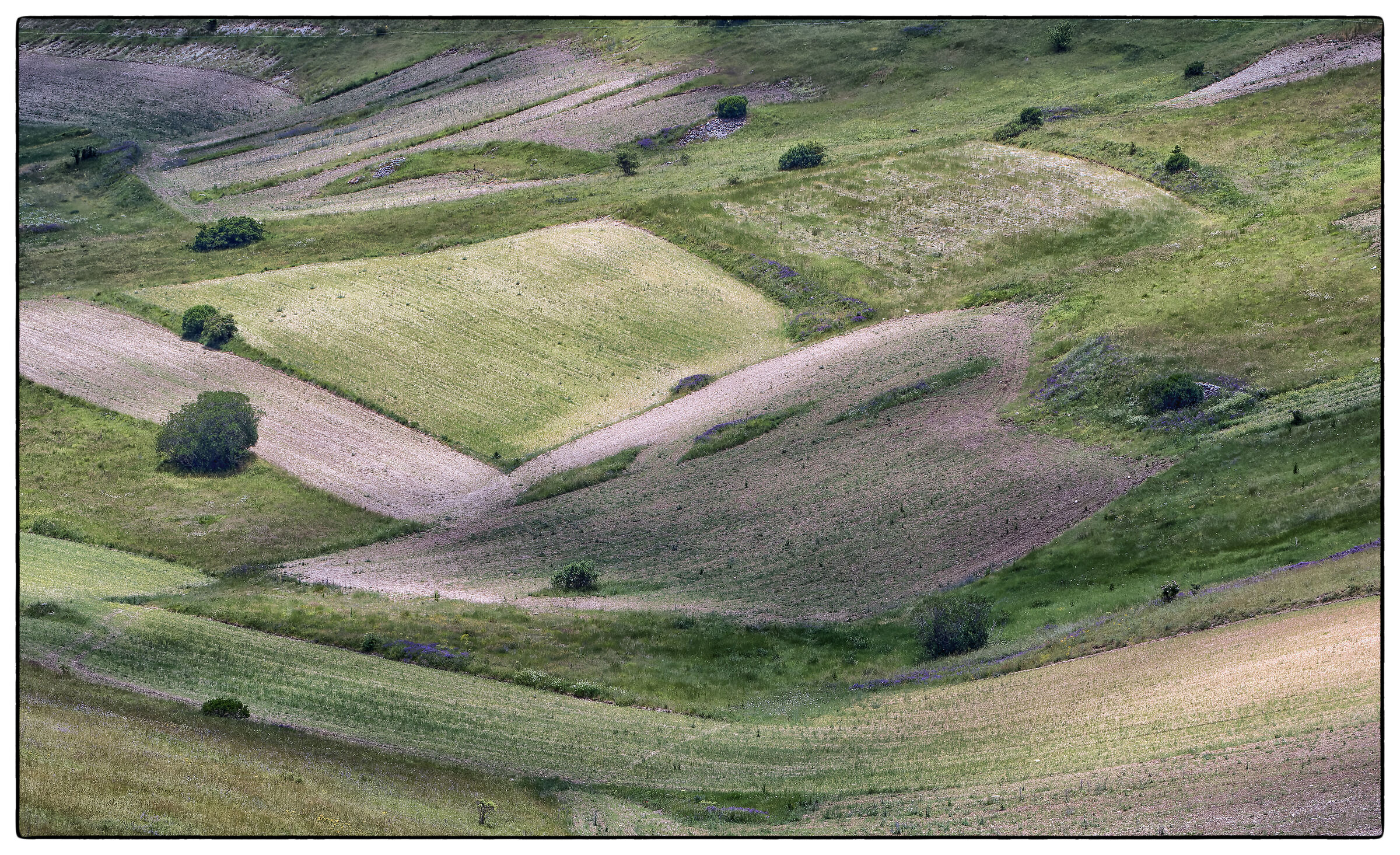 Castelluccio di Norcia