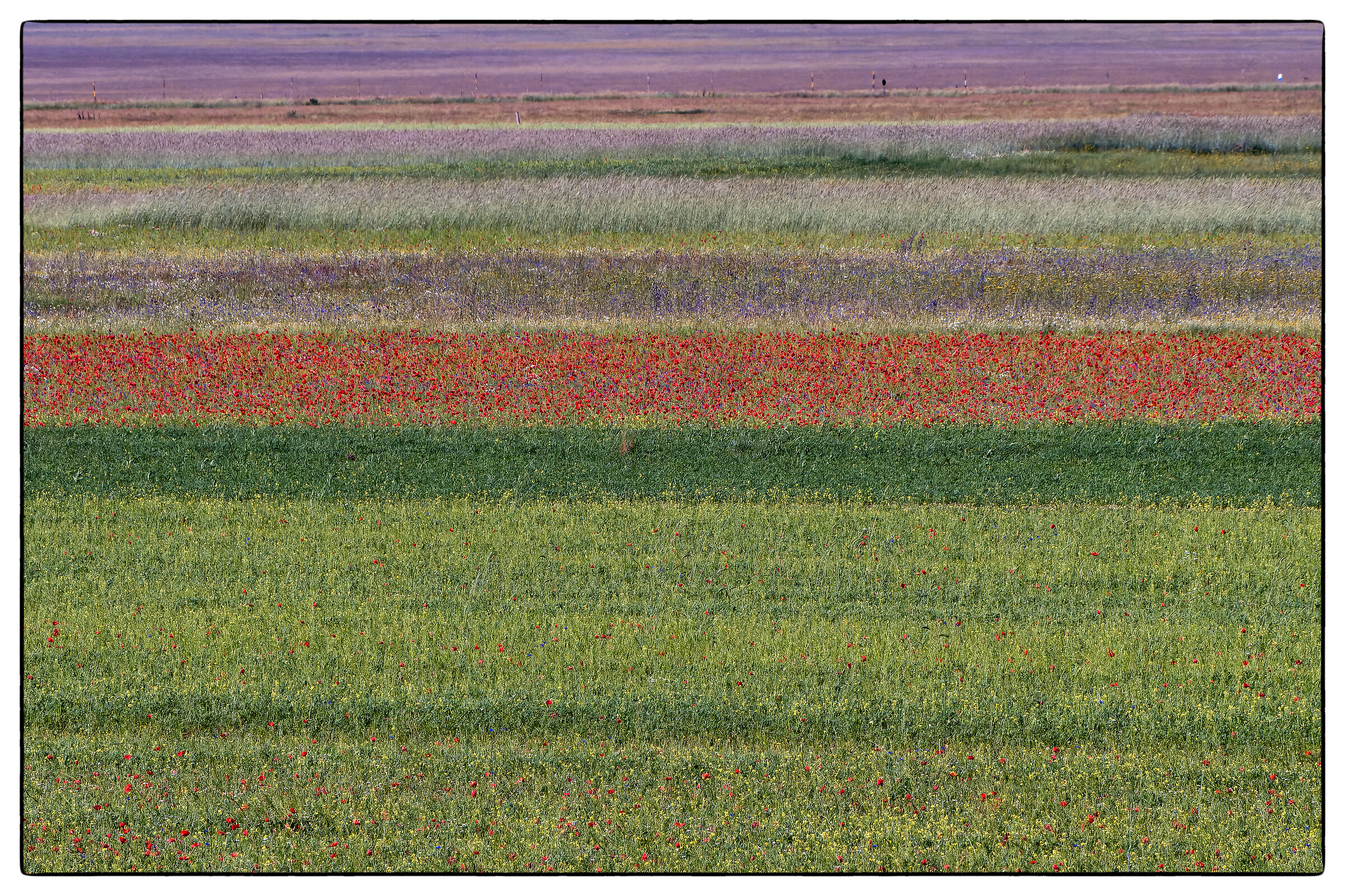 Castelluccio di Norcia