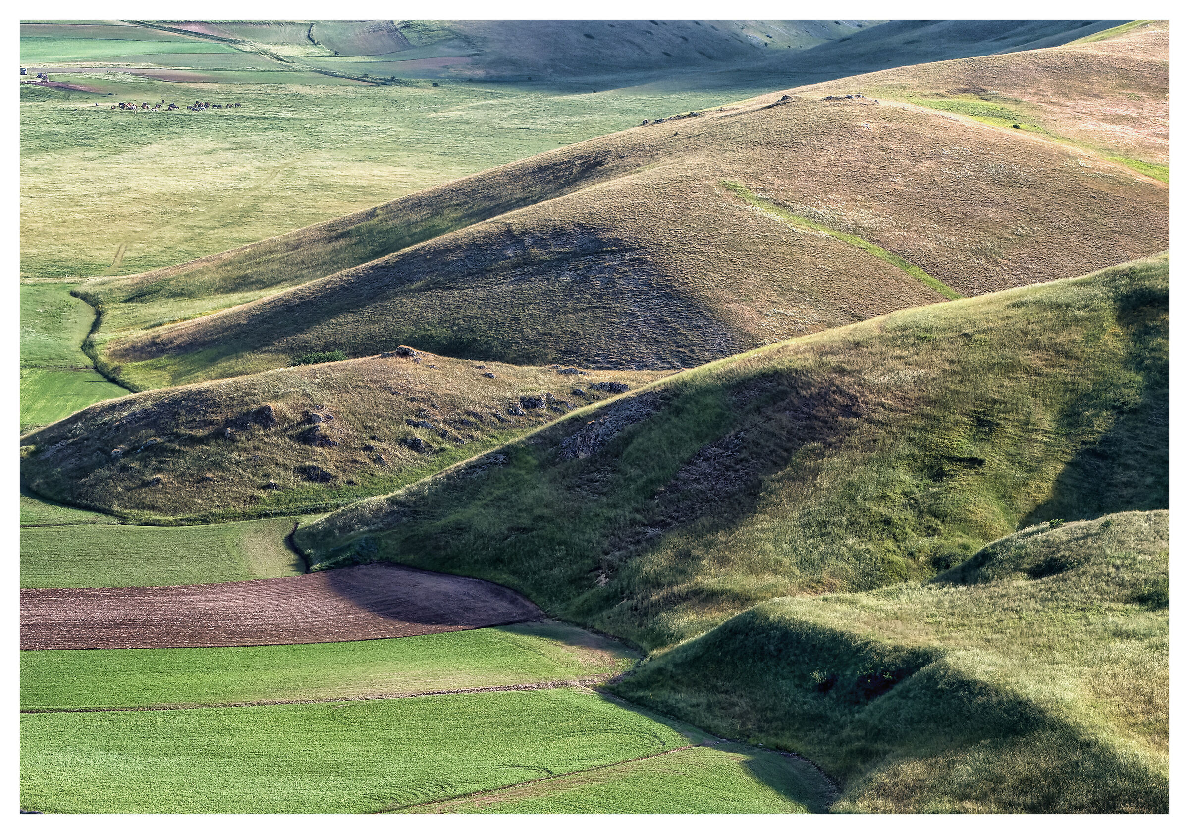 Castelluccio di Norcia