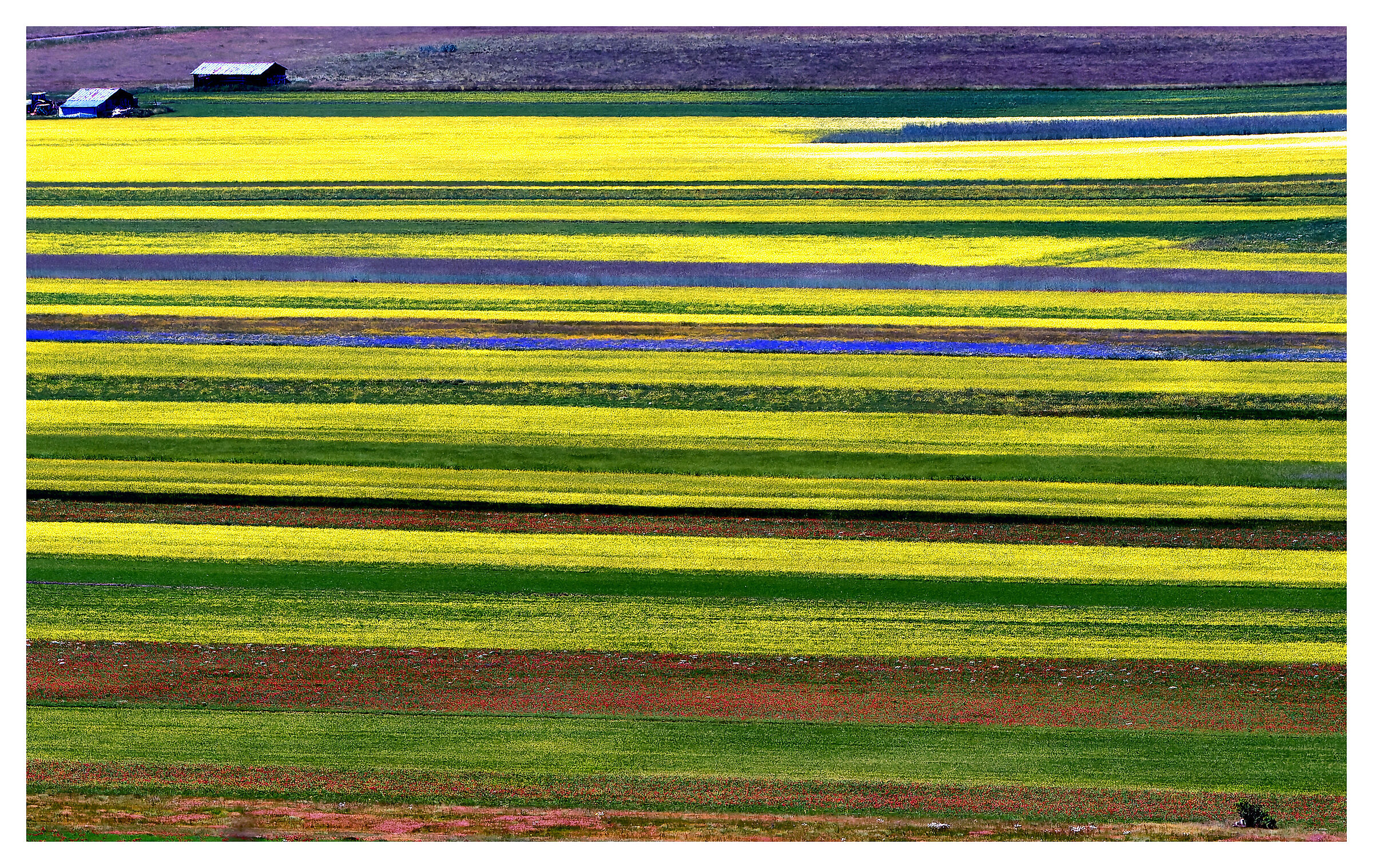 Castelluccio di Norcia