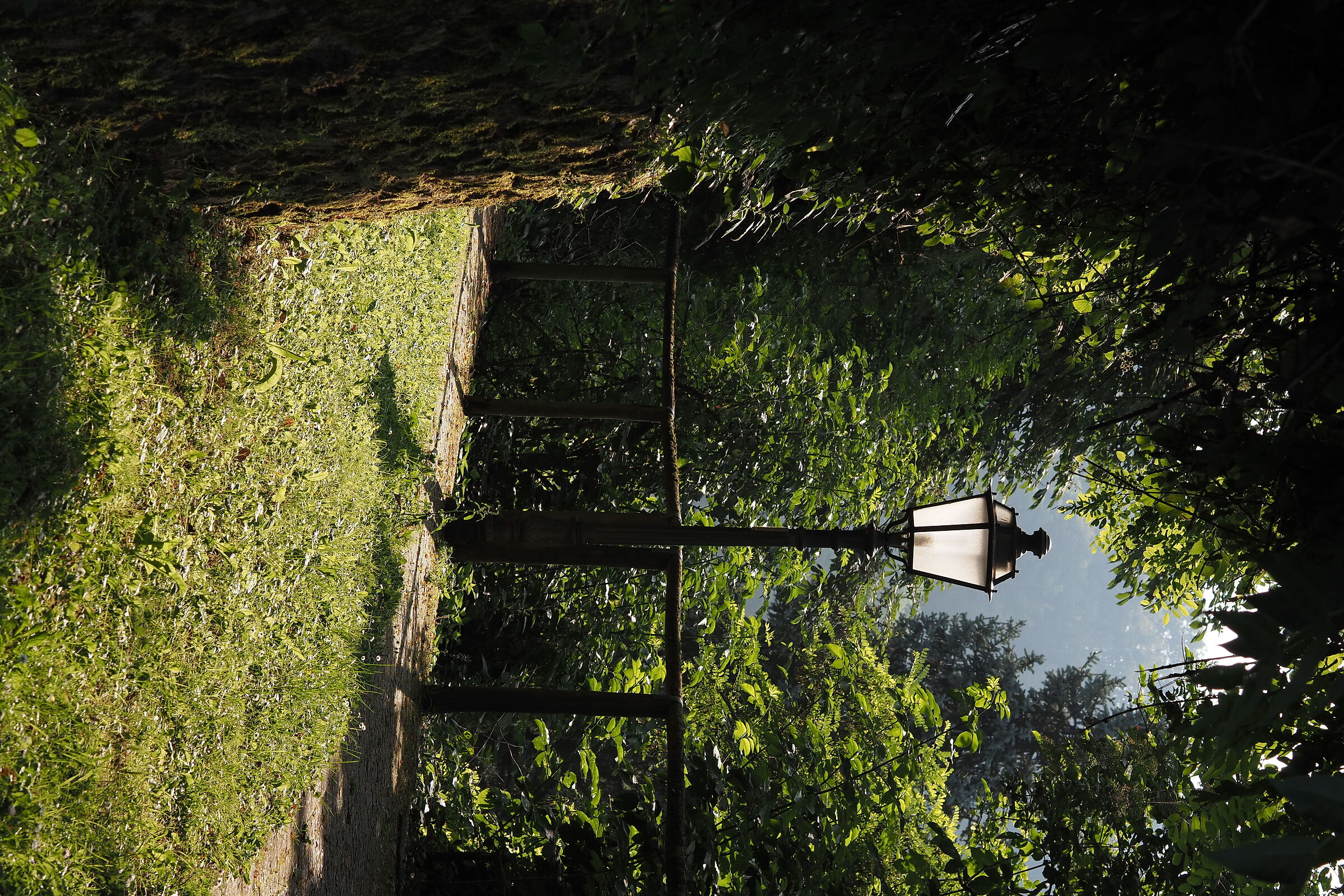 A corner of tranquility
