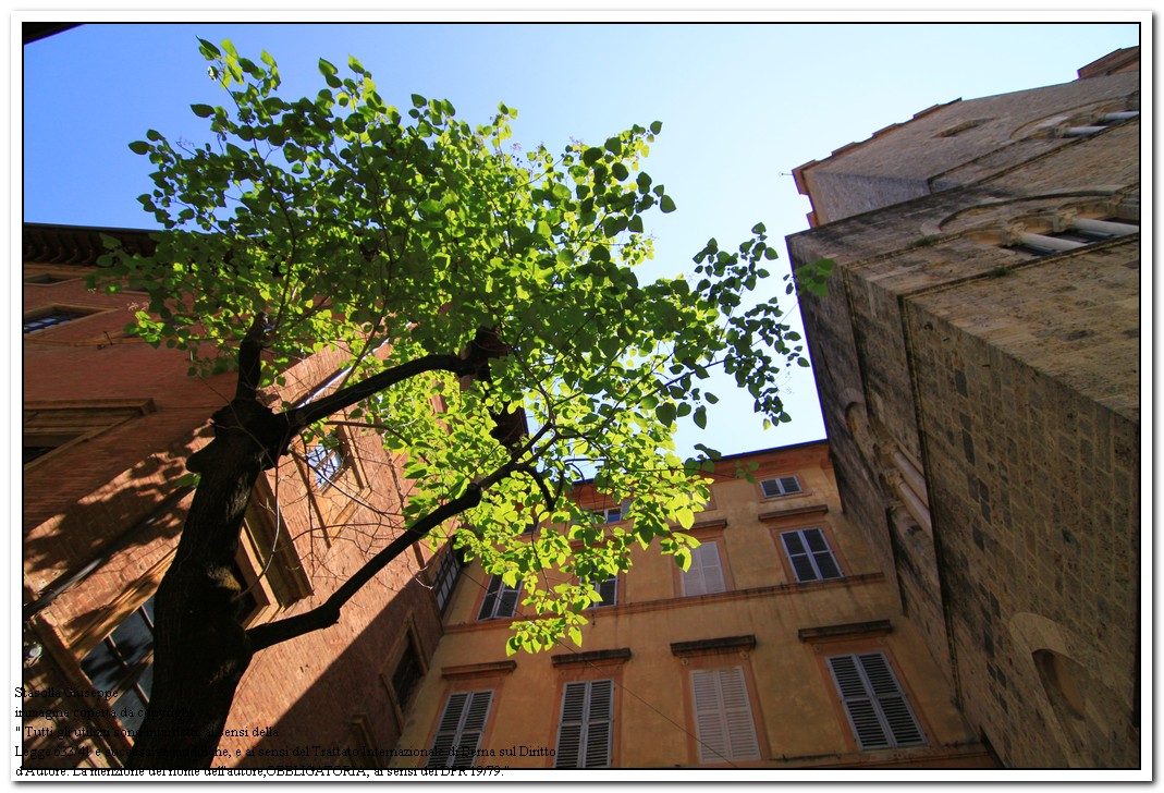 Green dipped and immense