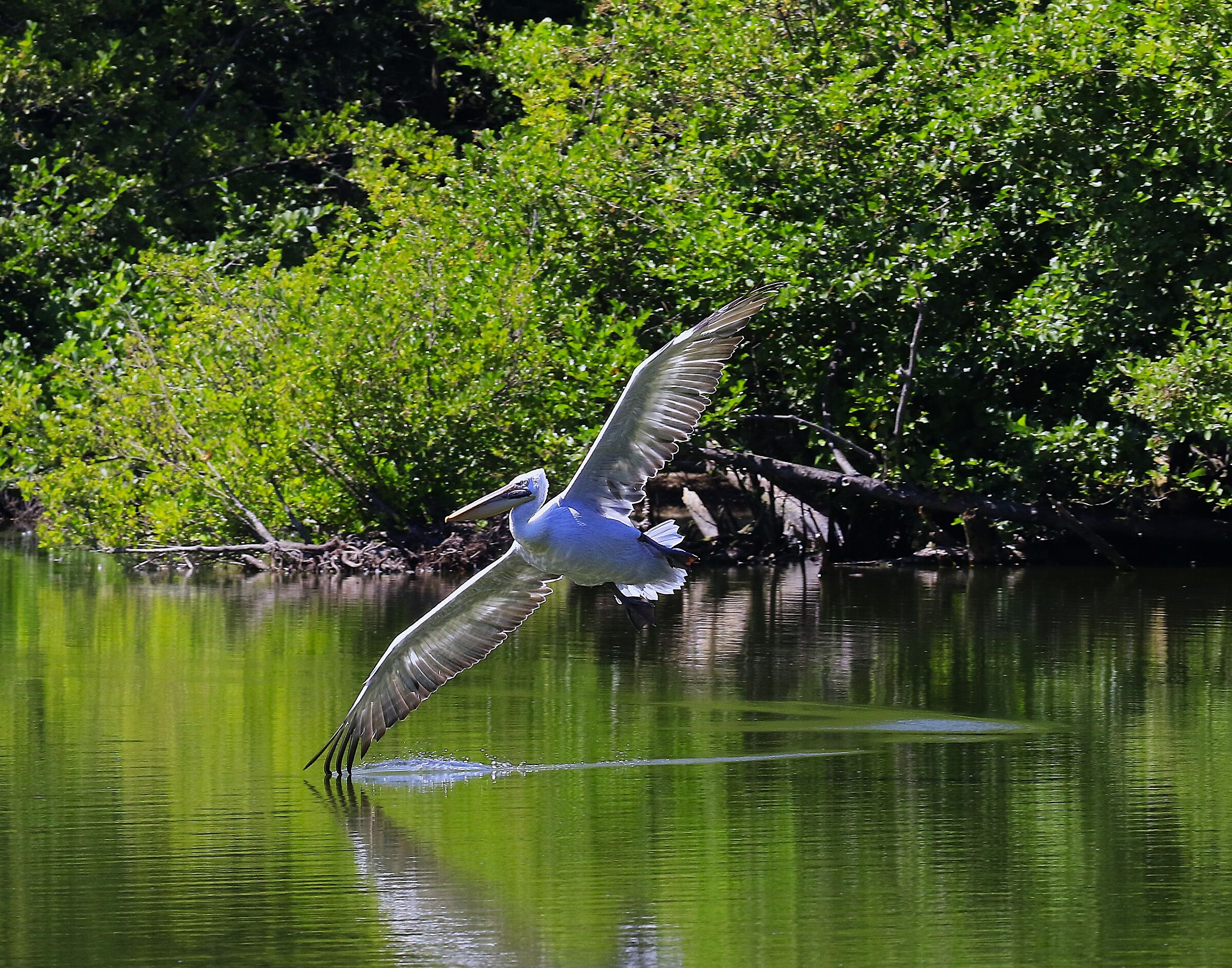 Ditching with Grace - redux