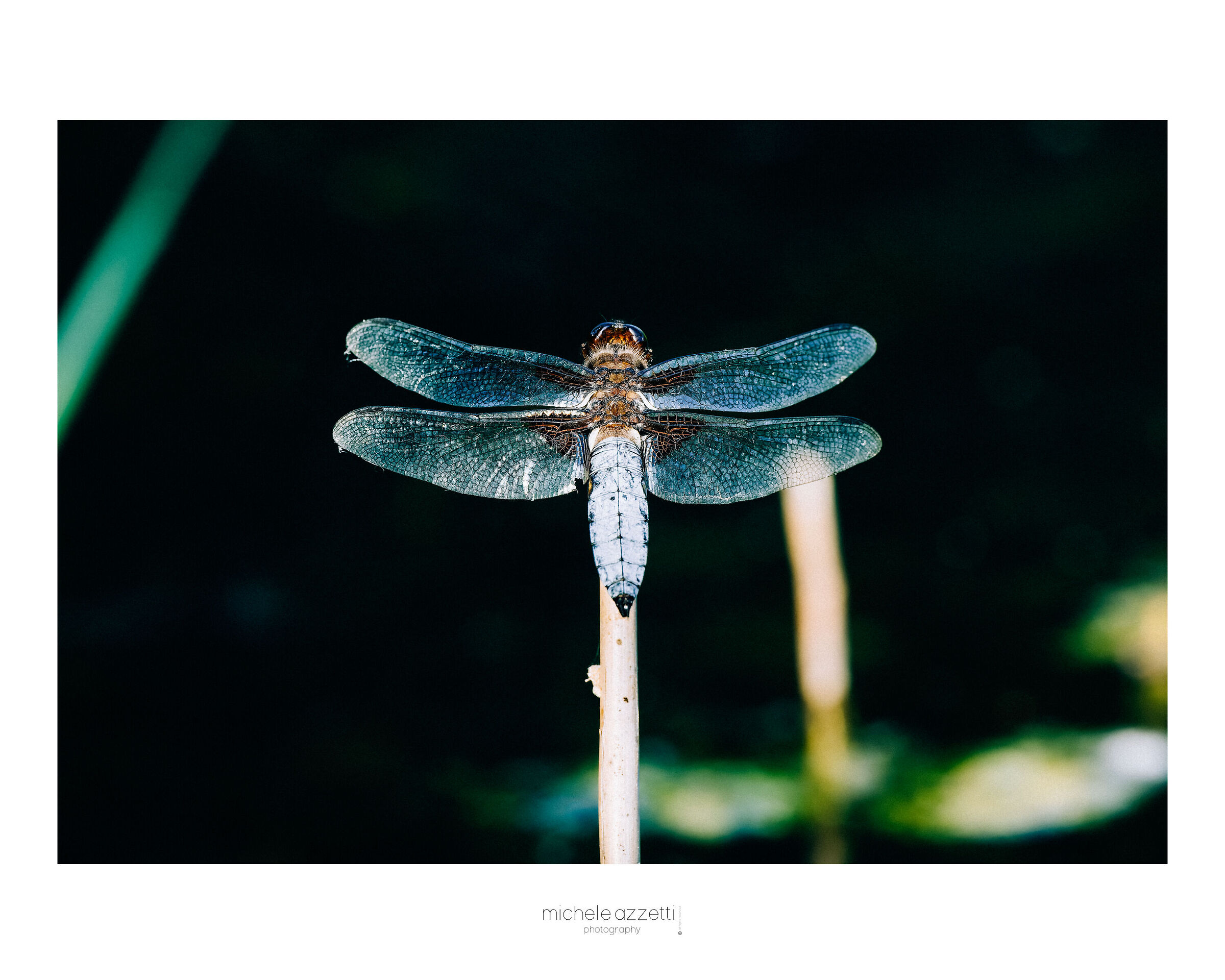 It's too hot to give a title