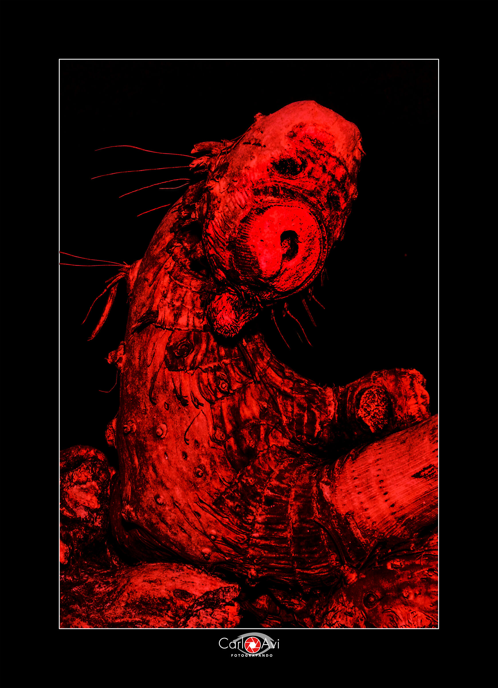 Pareidolia: mancano solo le ali e poi... un drago