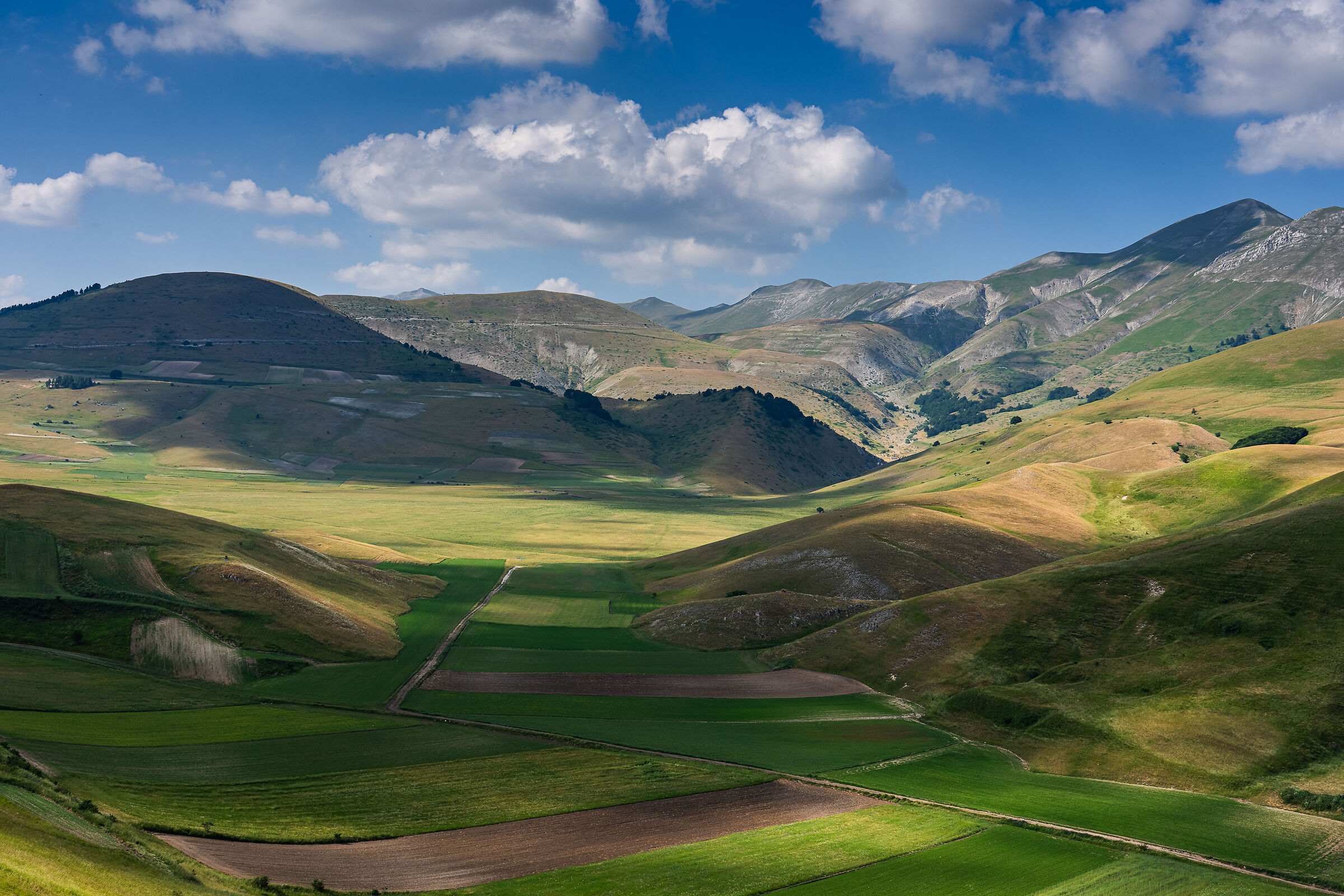 Castelluccio, 24 giugno 2025 - Pian Perduto.