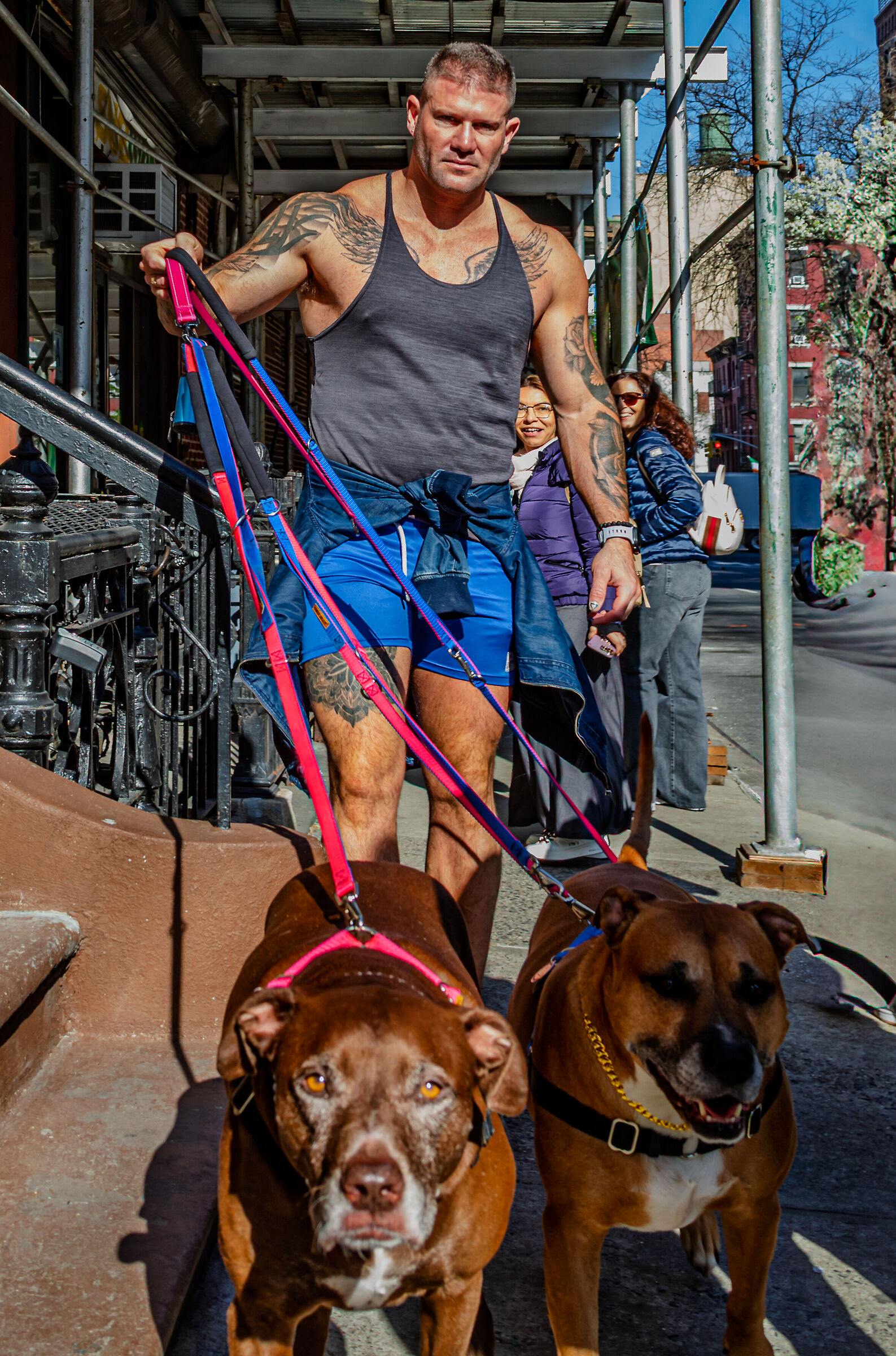 Dog-sitter