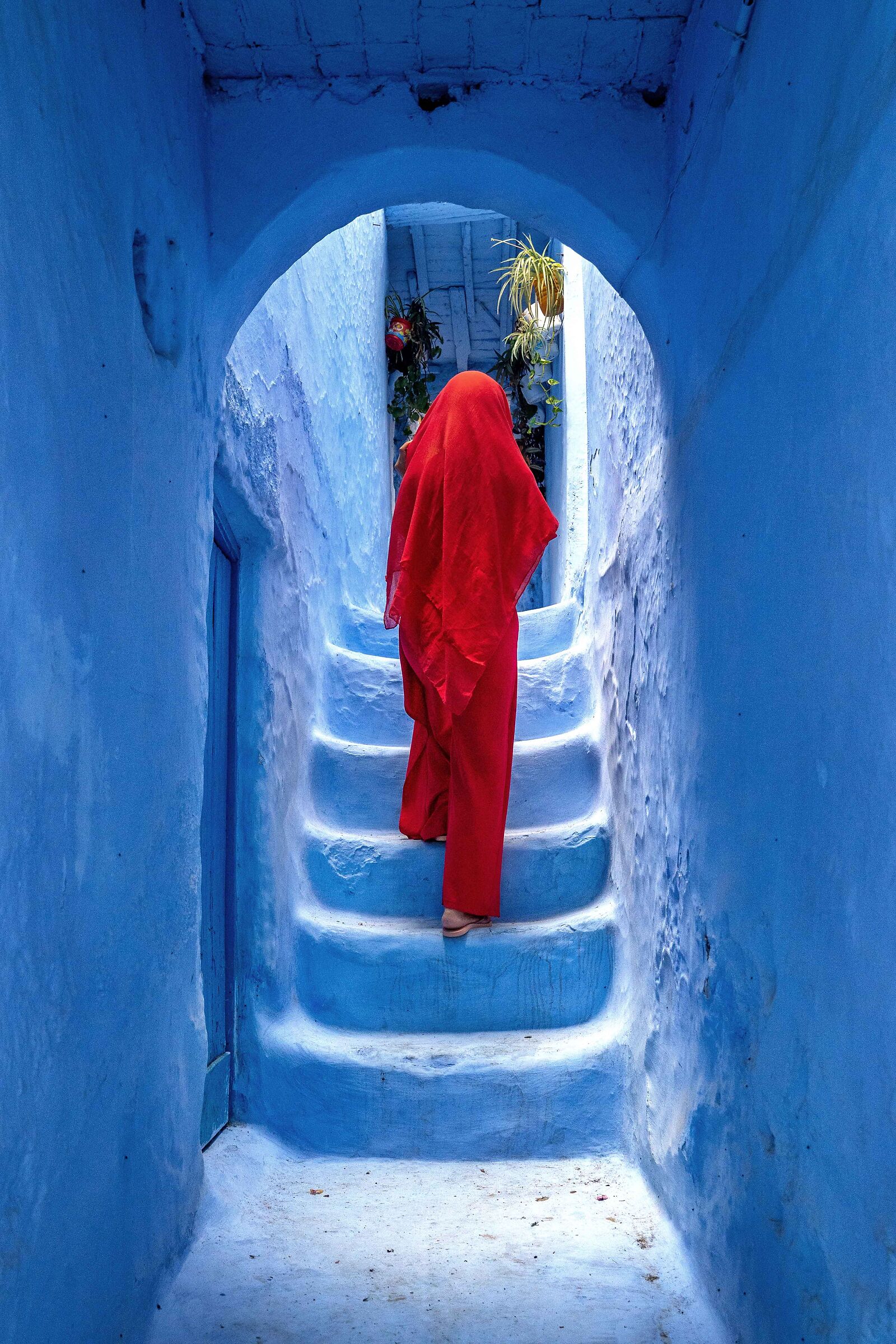 The Blue Alley