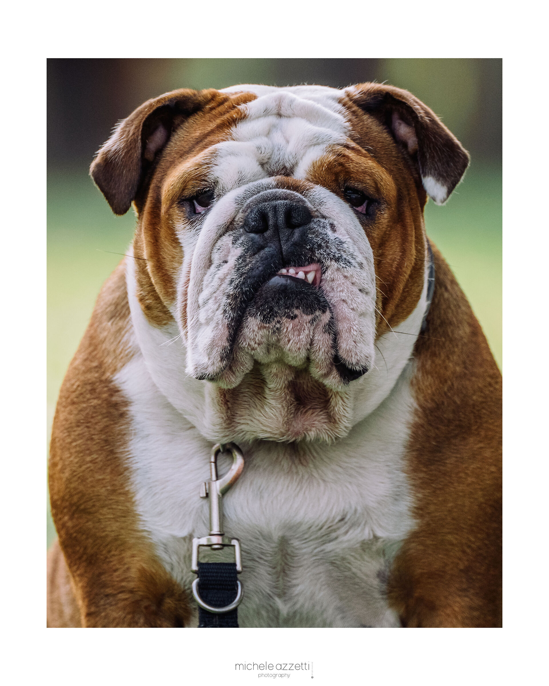 Grrrrrrr
