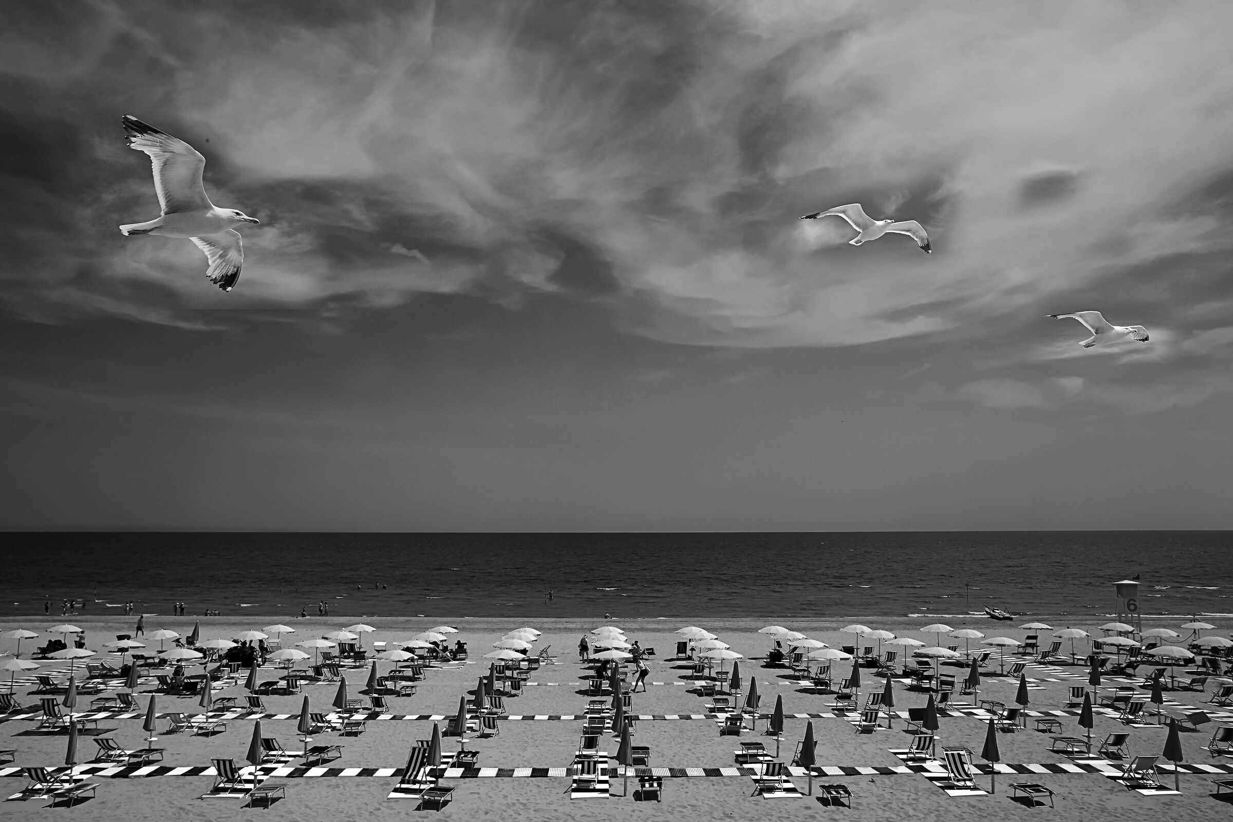 Sea and seagulls and a bit of DIY