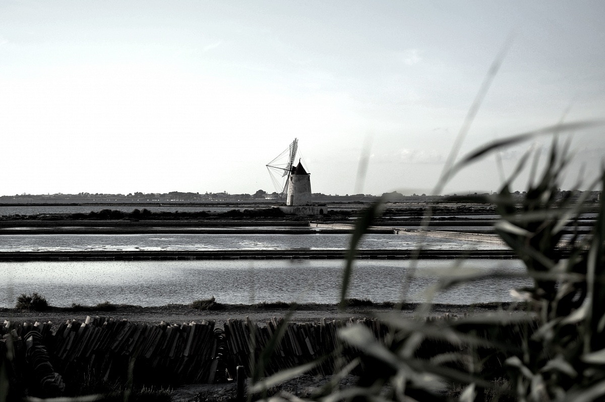 windmills of salt Marsala