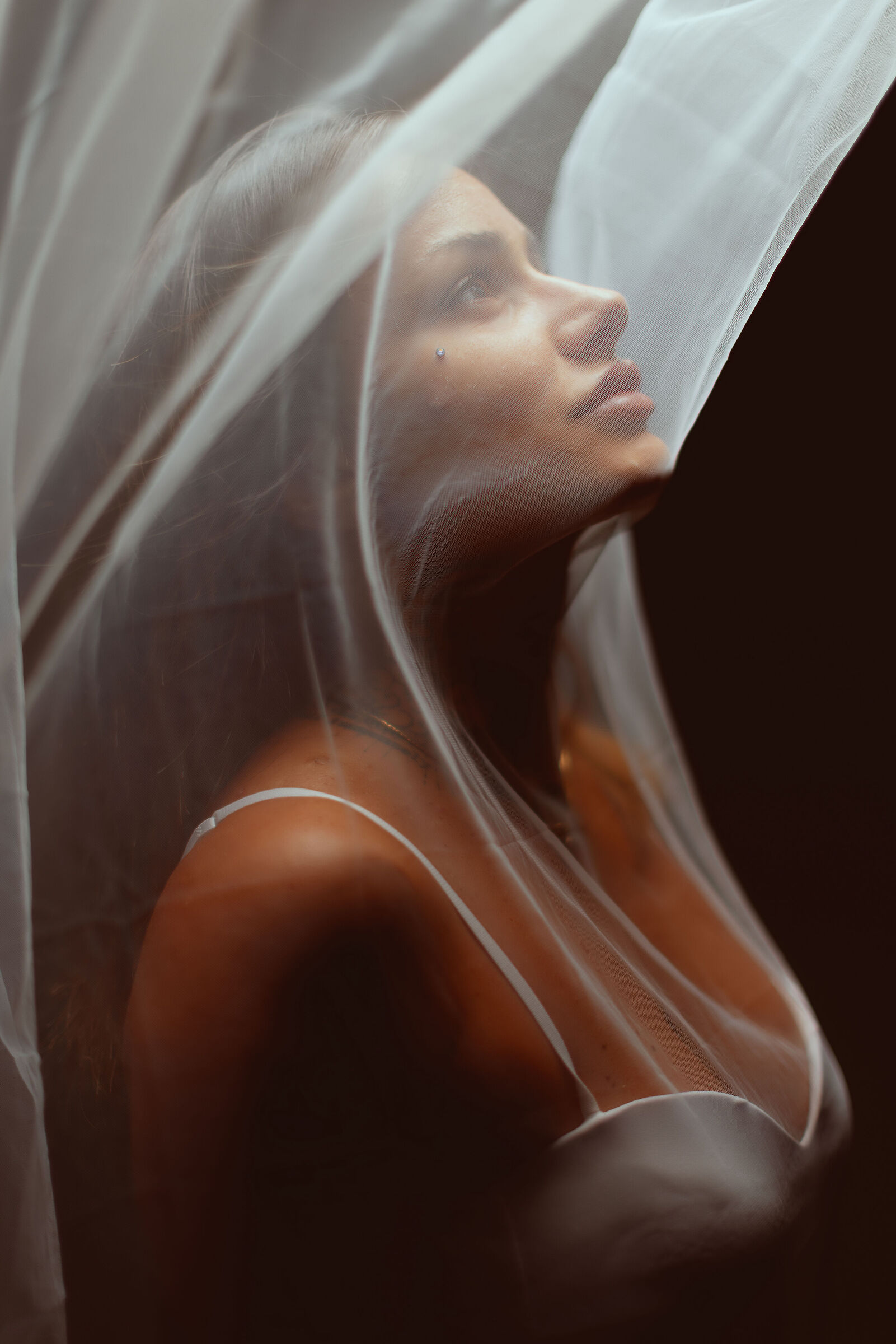 Chiara - Elemets
