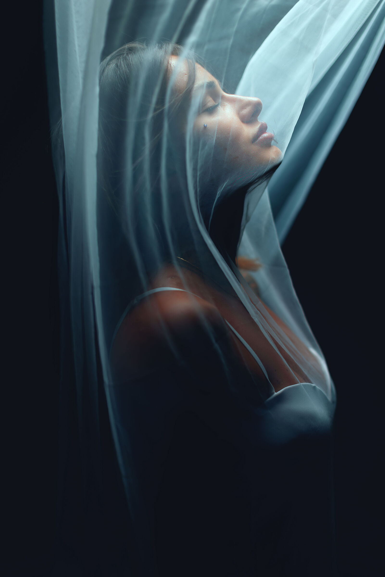 Chiara - Elemets