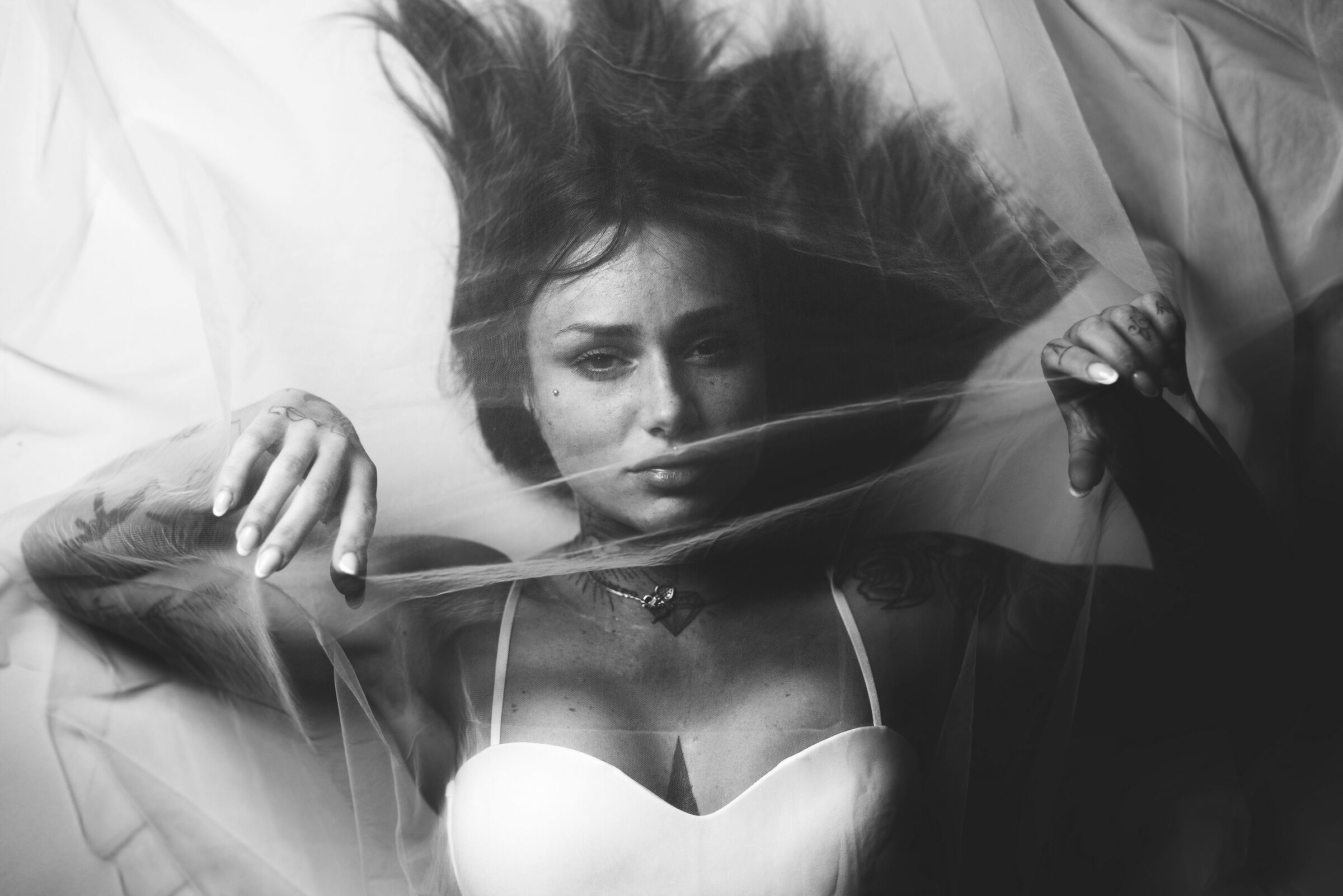 Chiara - Elemets
