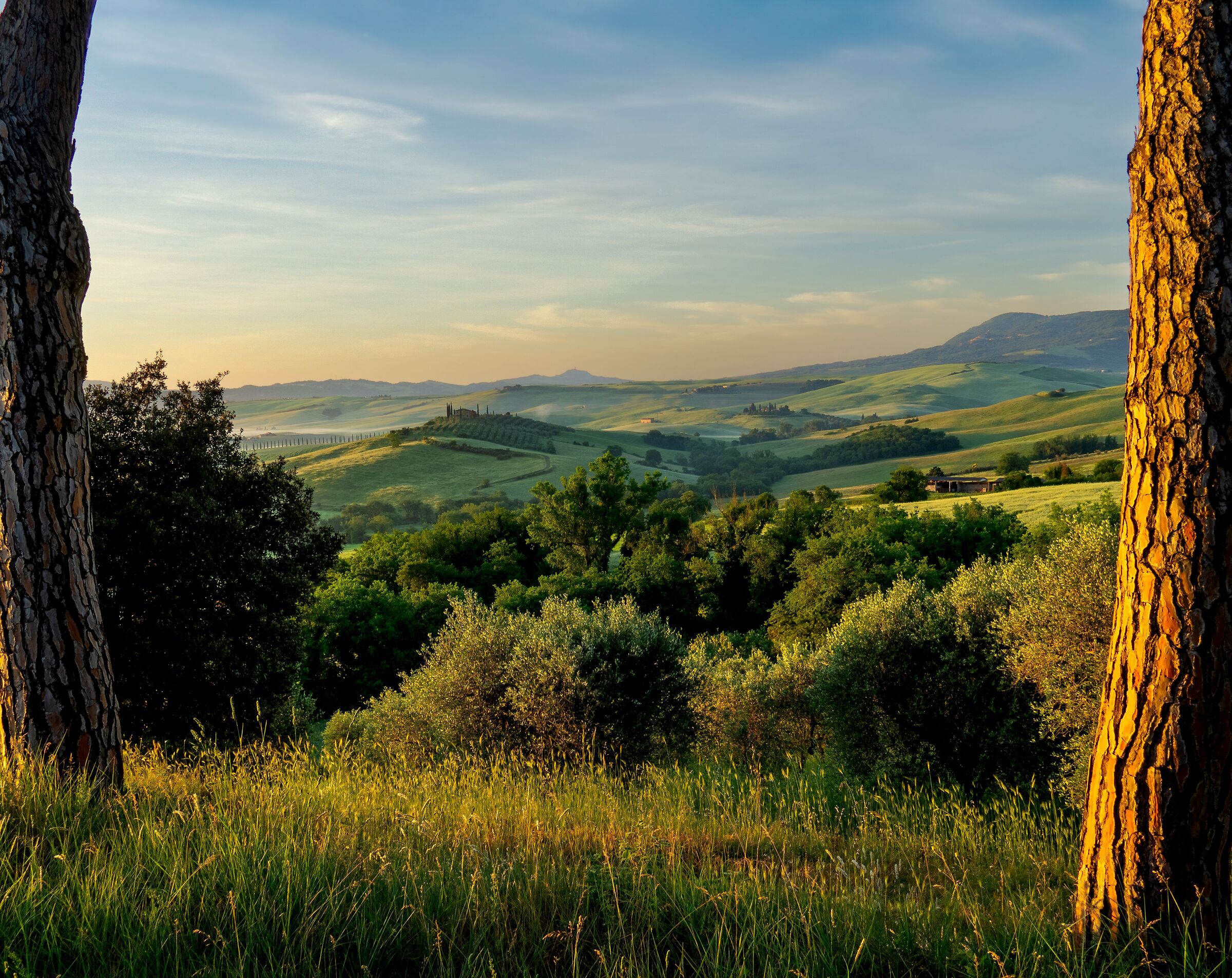 A New Day in Val d'Orcia
