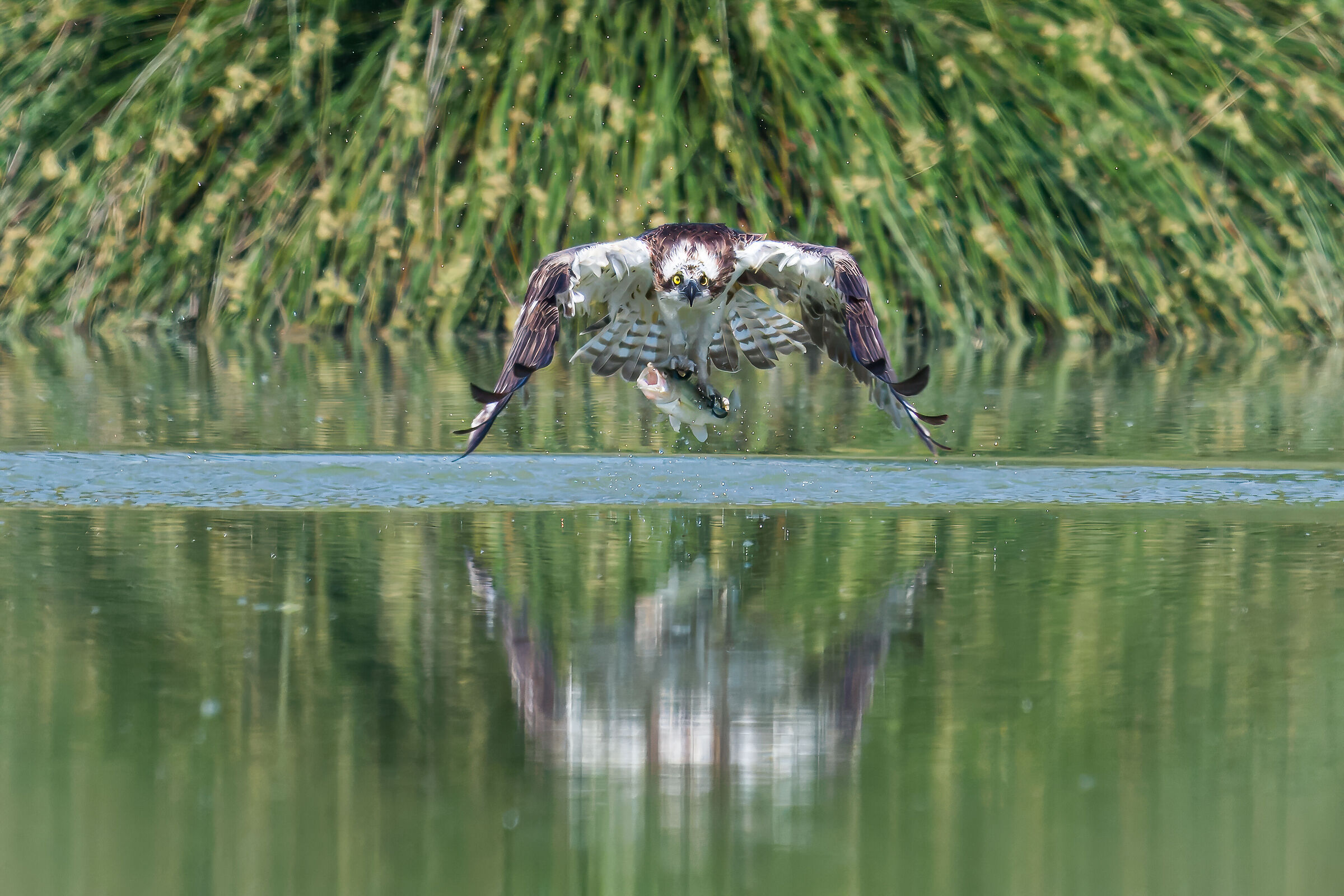excellent fishing, the catch unfortunately does not look hap...