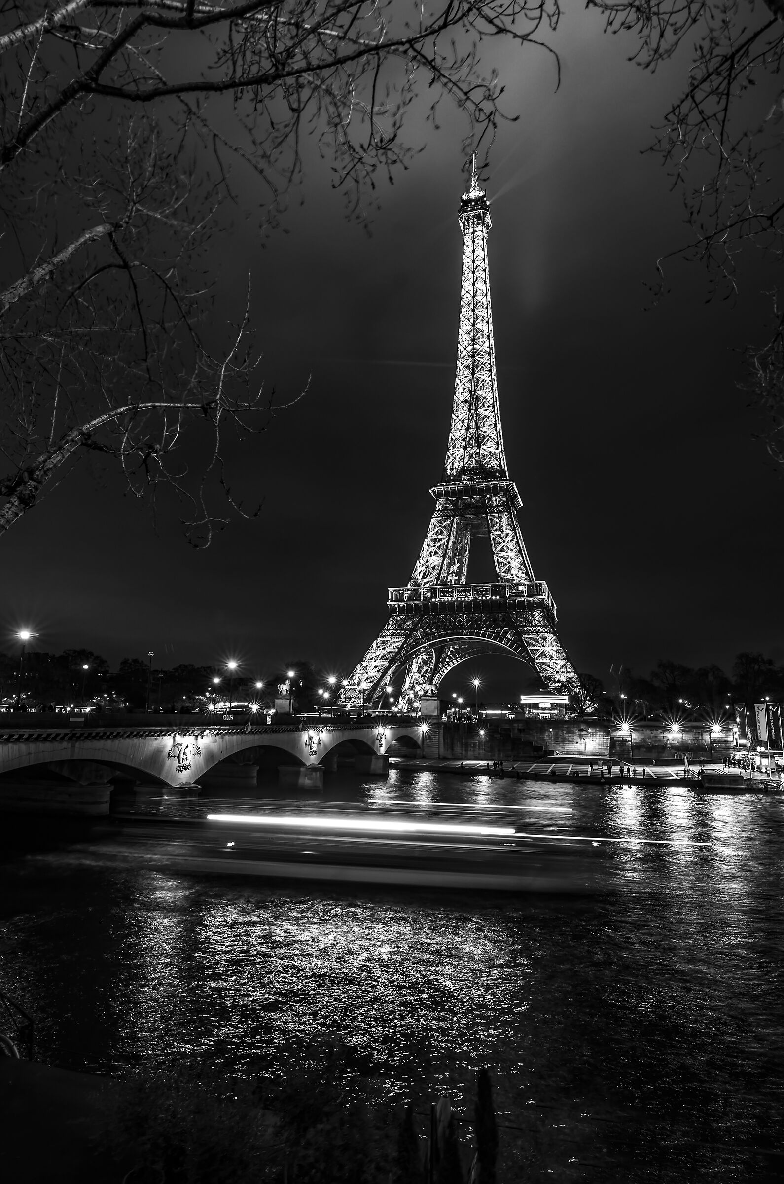 Bateaux Mouches by night