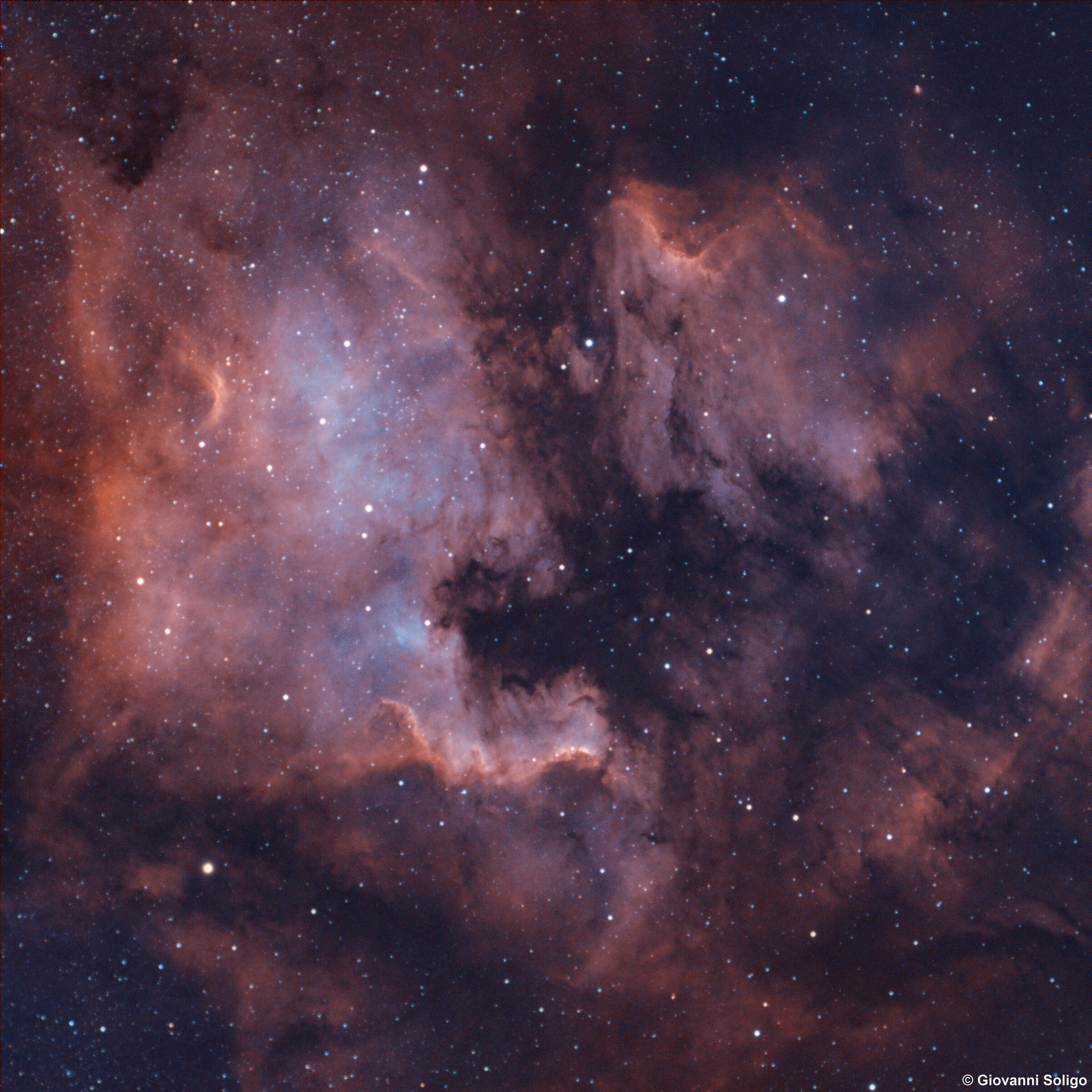 North American and Pelican Nebulae