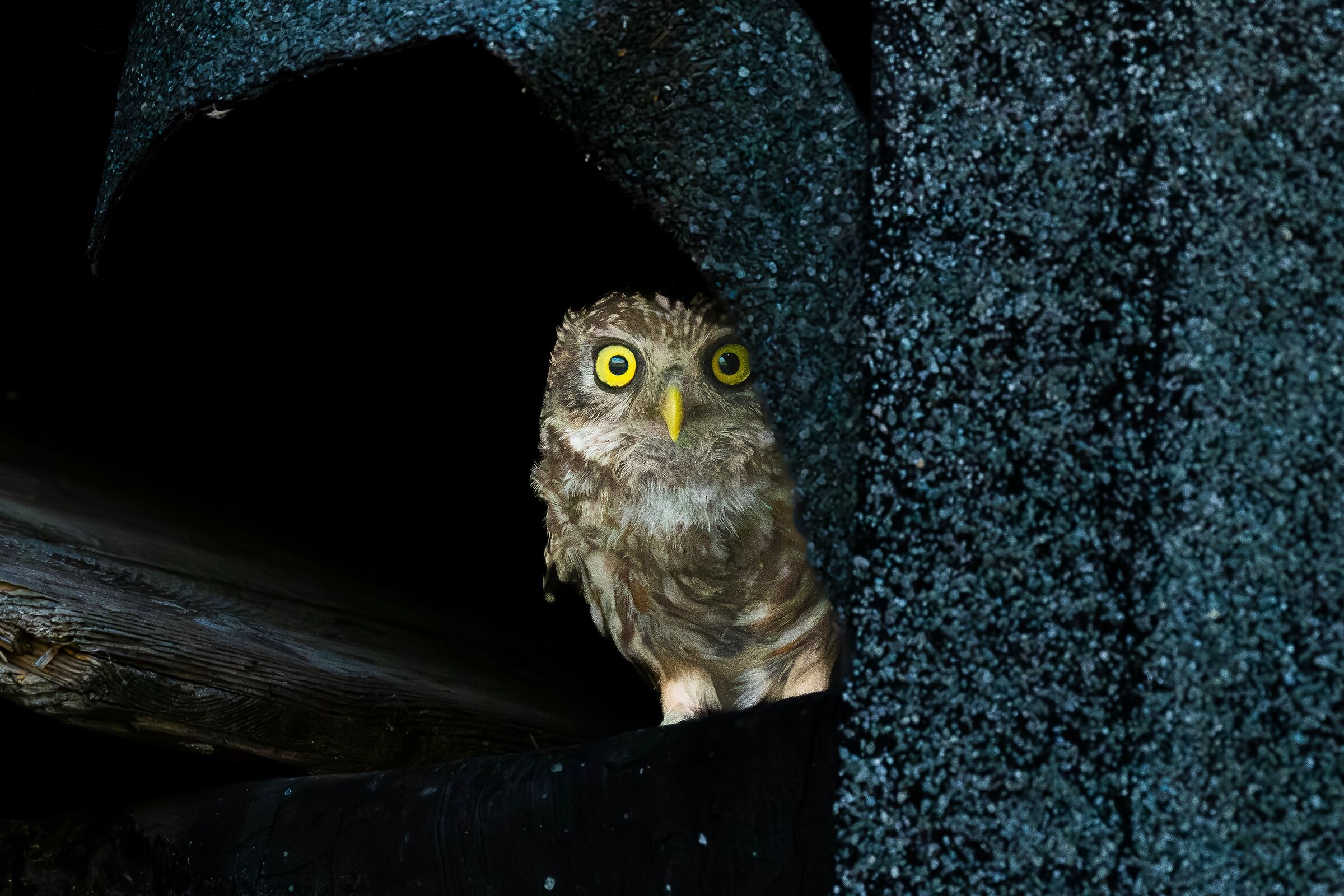 e all'improvviso.....