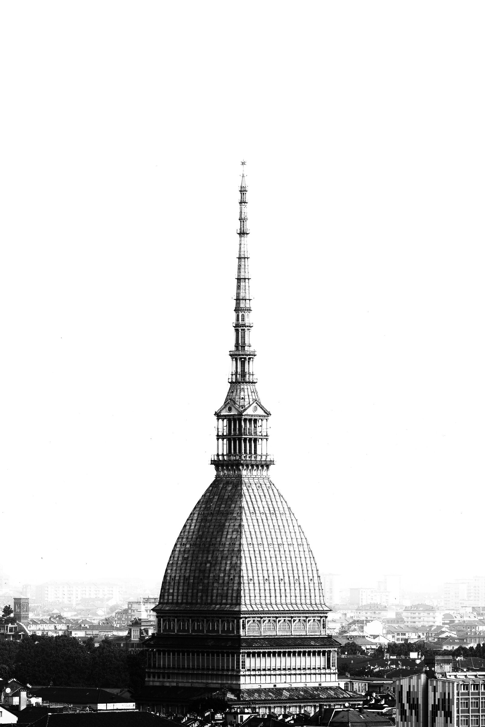 Torino Monochrome