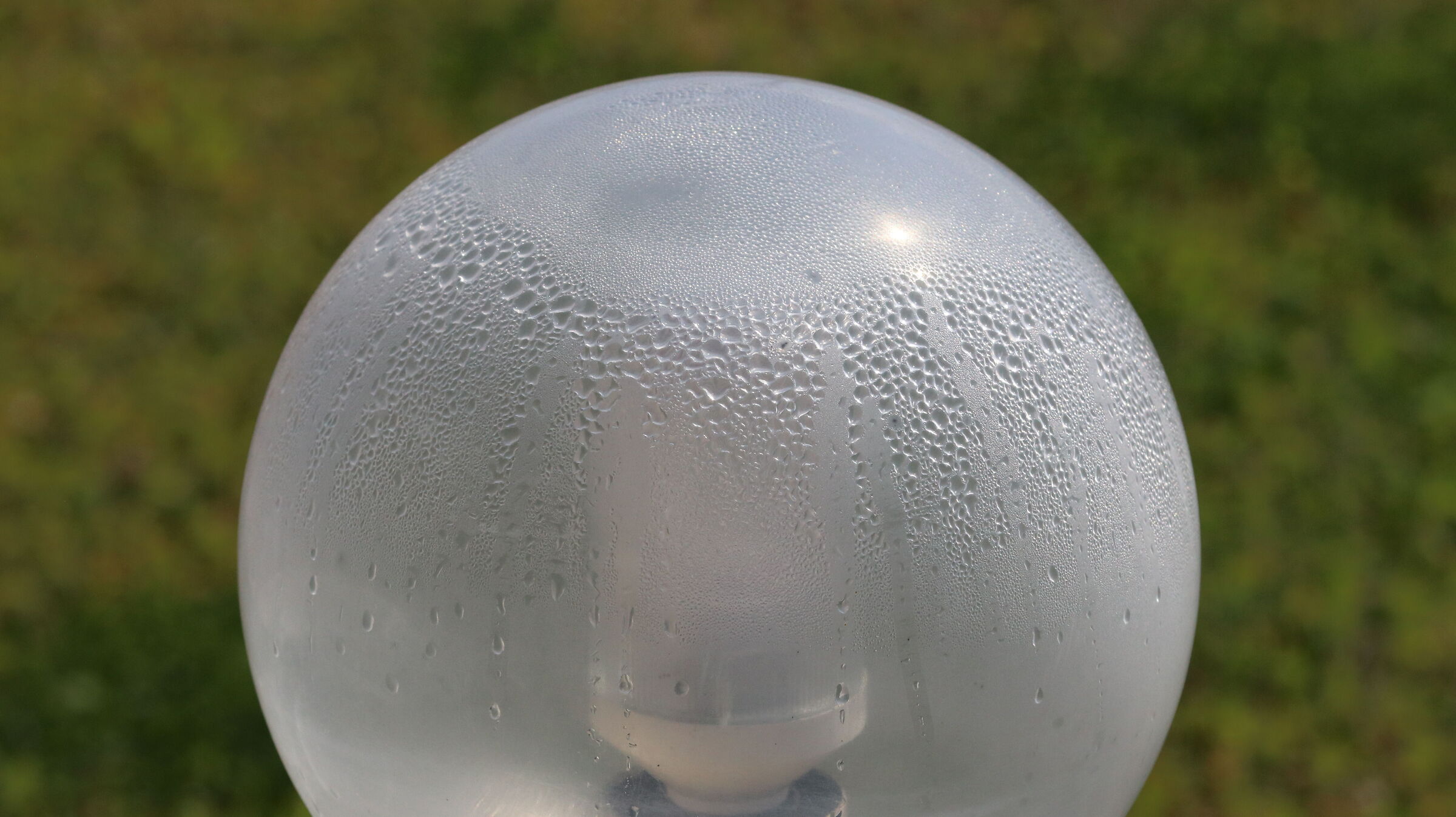 @ " F. 8, 1/ 8 Mila, ISO Mille"- Canon 135 F. 2 L,...