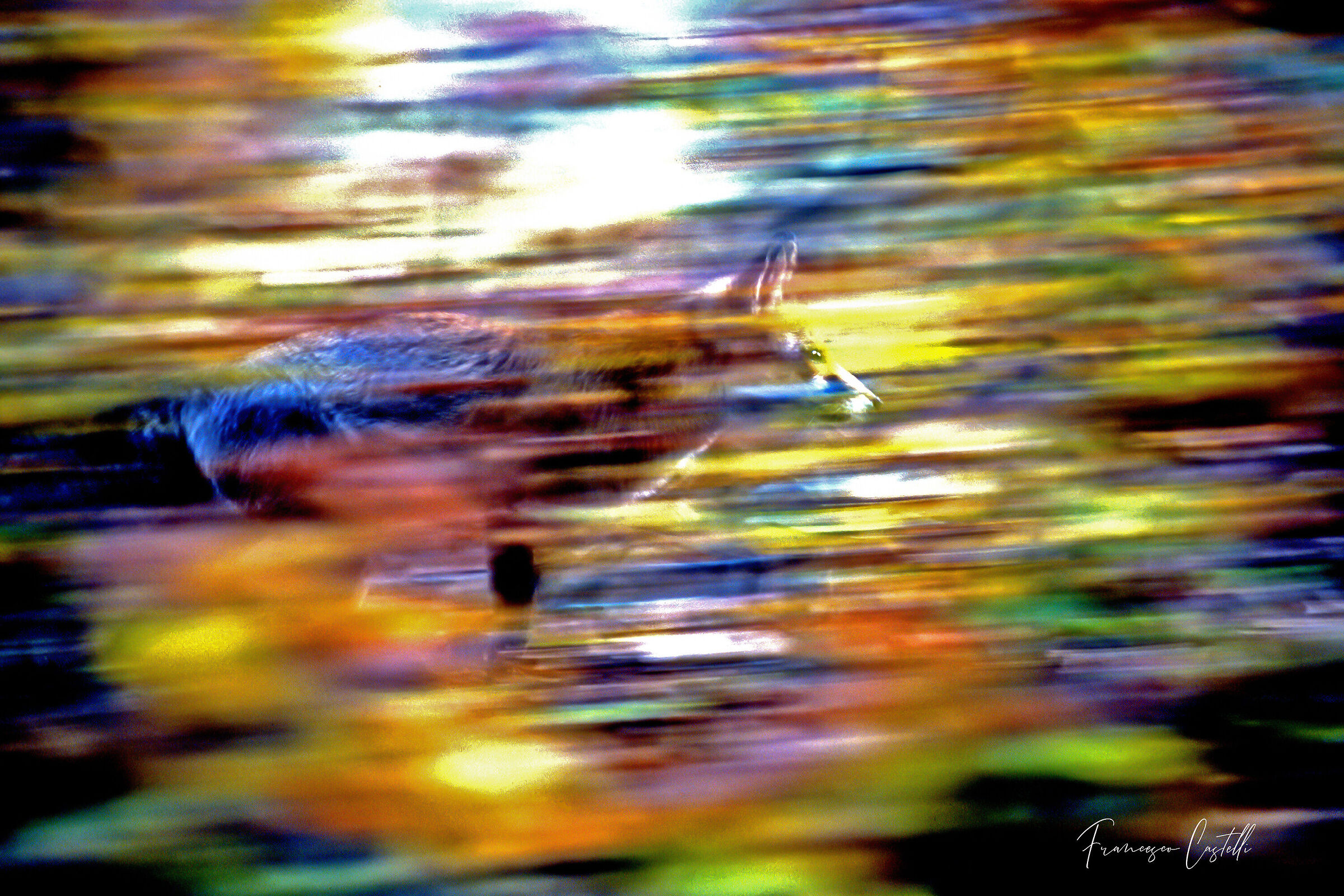 Panning volpe